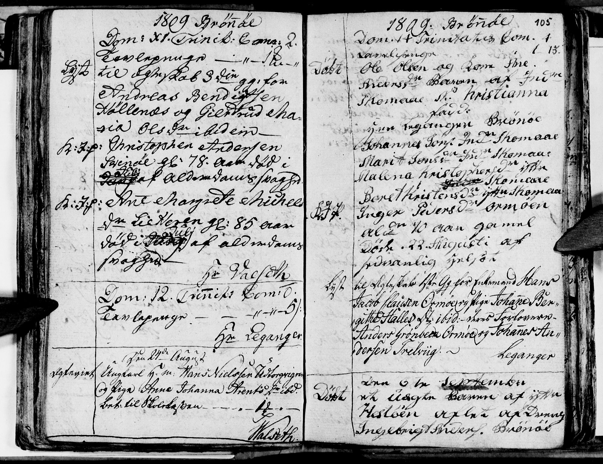 Ministerialprotokoller, klokkerbøker og fødselsregistre - Nordland, AV/SAT-A-1459/813/L0209: Parish register (copy) no. 813C01, 1803-1821, p. 105