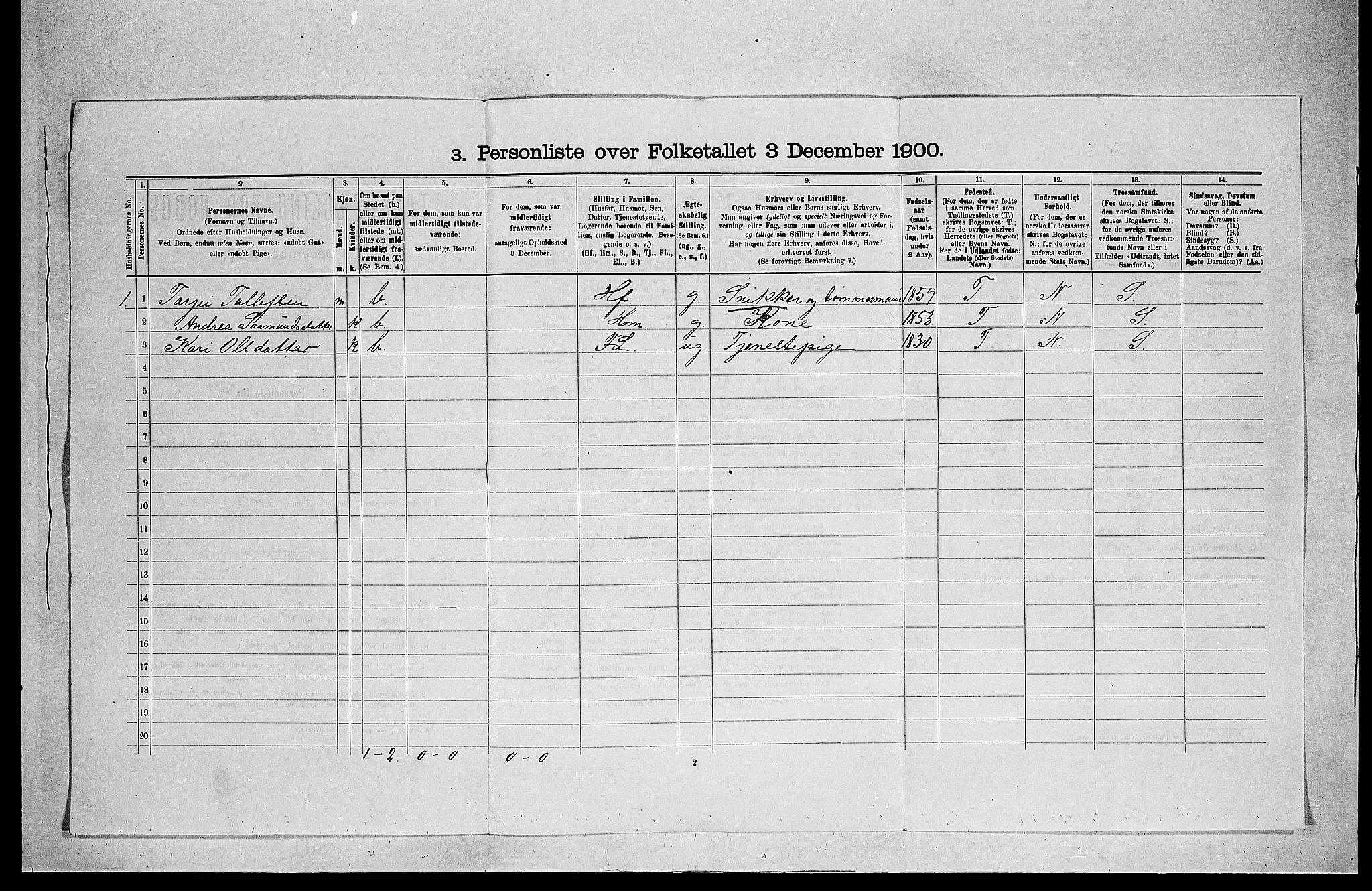 SAKO, 1900 census for Seljord, 1900, p. 39