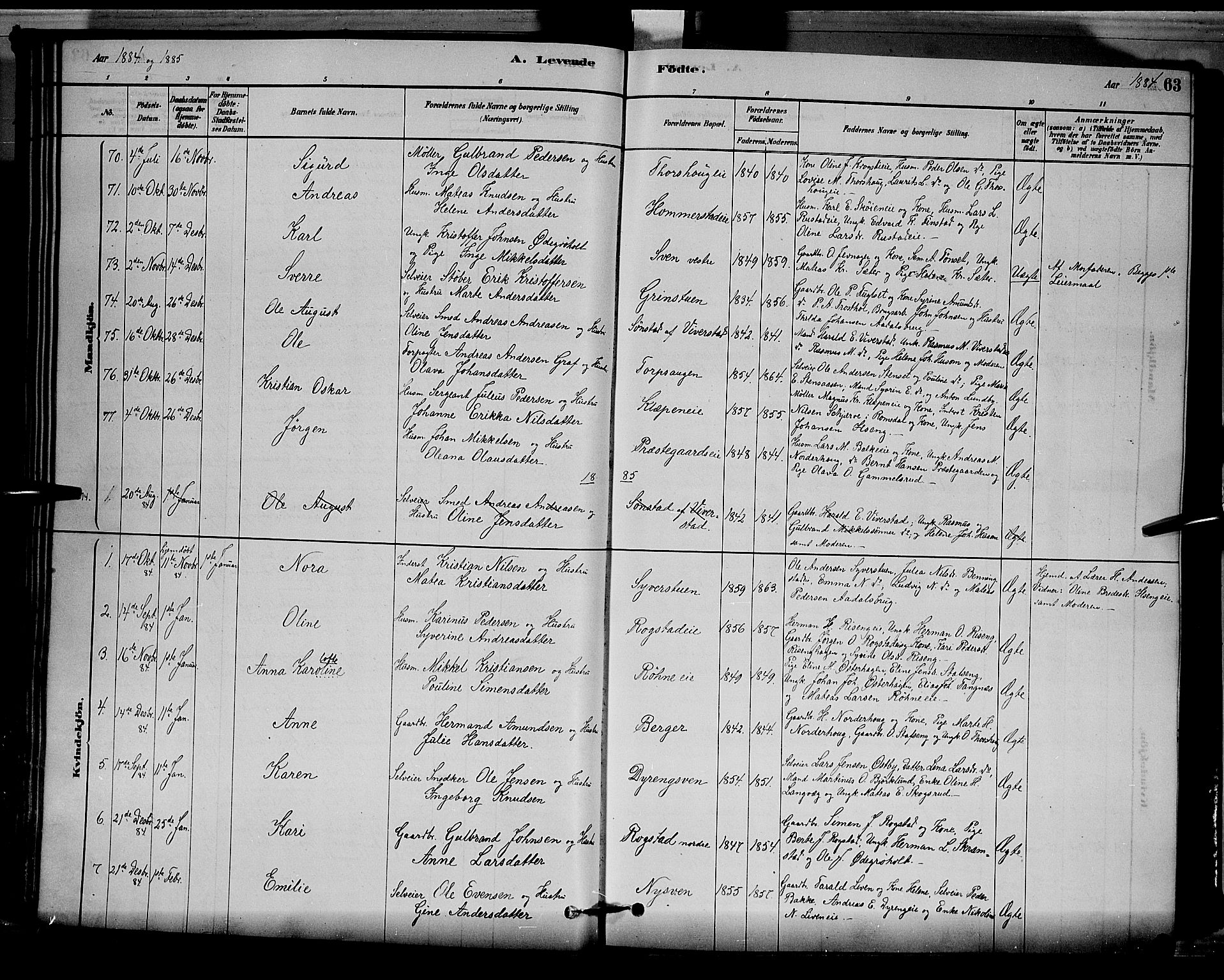 Løten prestekontor, SAH/PREST-022/L/La/L0005: Parish register (copy) no. 5, 1878-1891, p. 63