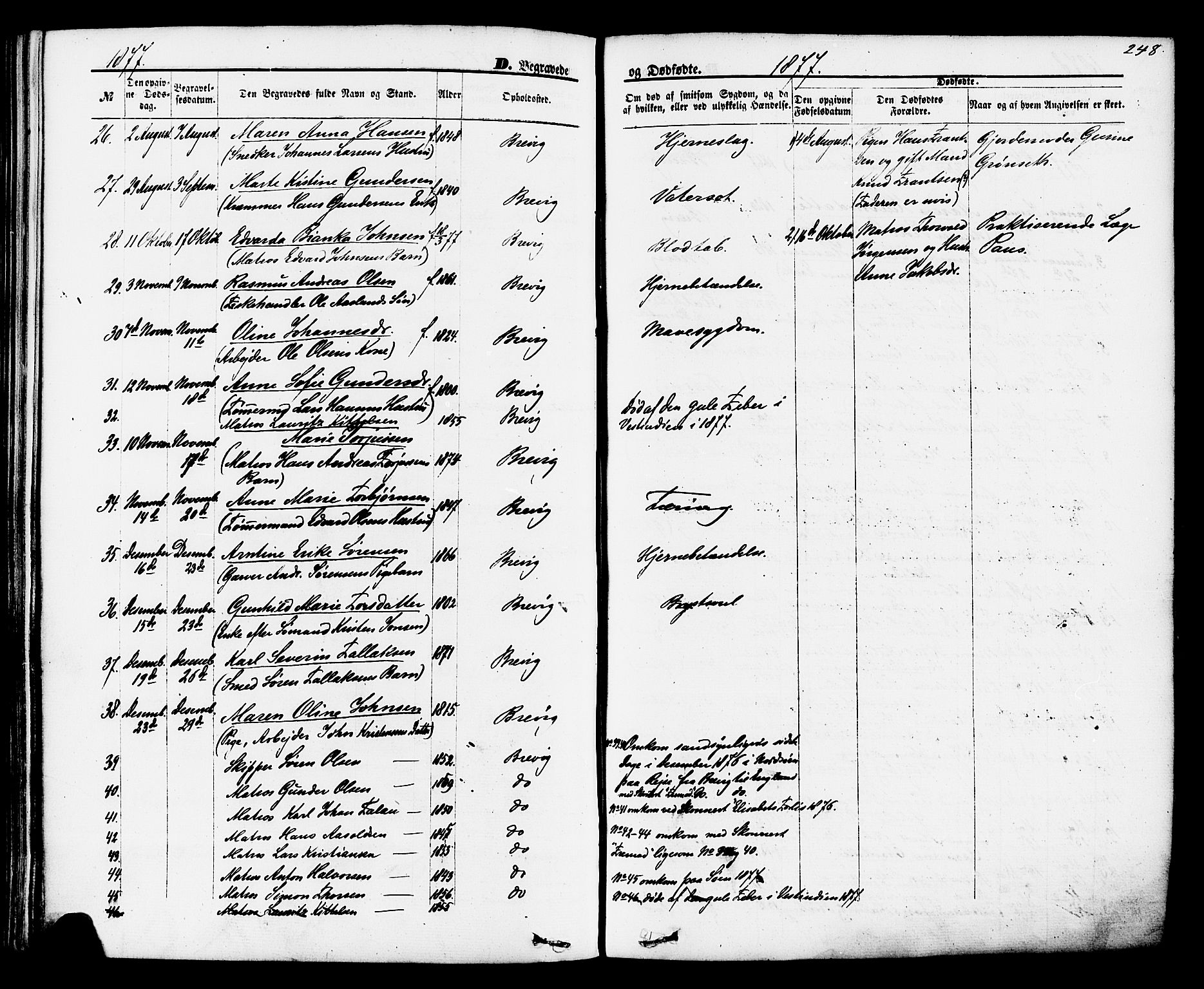 Brevik kirkebøker, SAKO/A-255/F/Fa/L0006: Parish register (official) no. 6, 1866-1881, p. 248