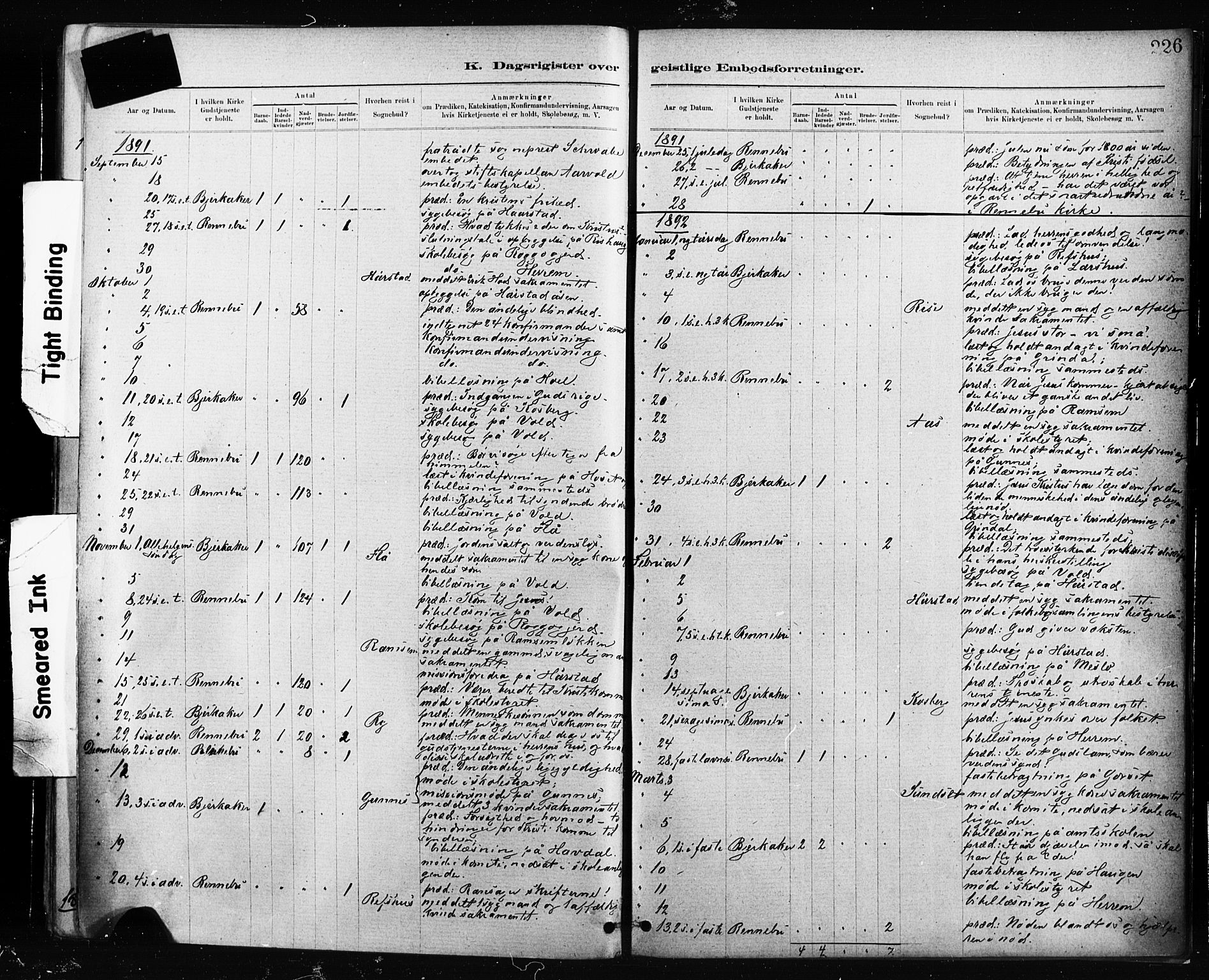 Ministerialprotokoller, klokkerbøker og fødselsregistre - Sør-Trøndelag, SAT/A-1456/674/L0871: Parish register (official) no. 674A03, 1880-1896, p. 226