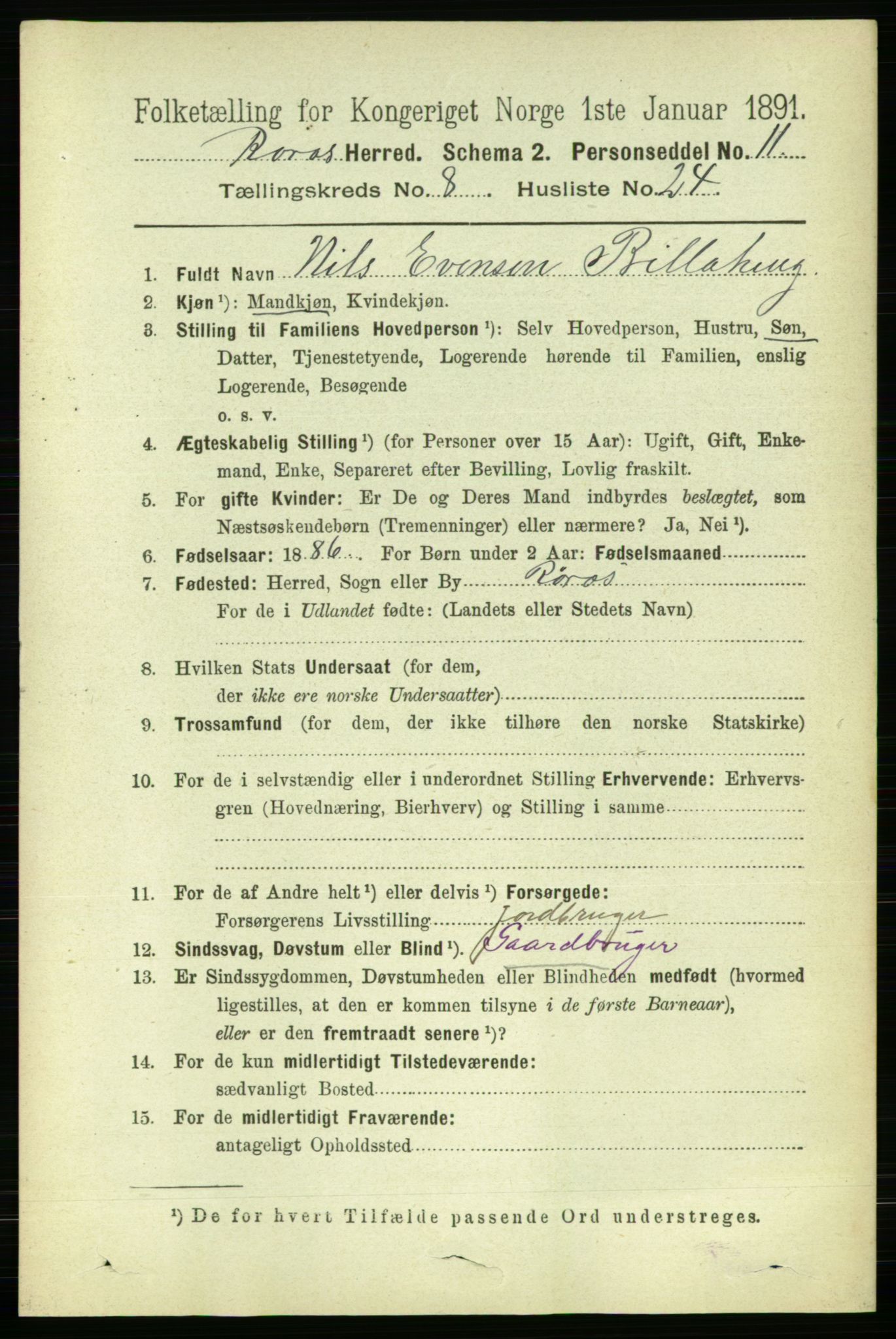 RA, 1891 census for 1640 Røros, 1891, p. 1782