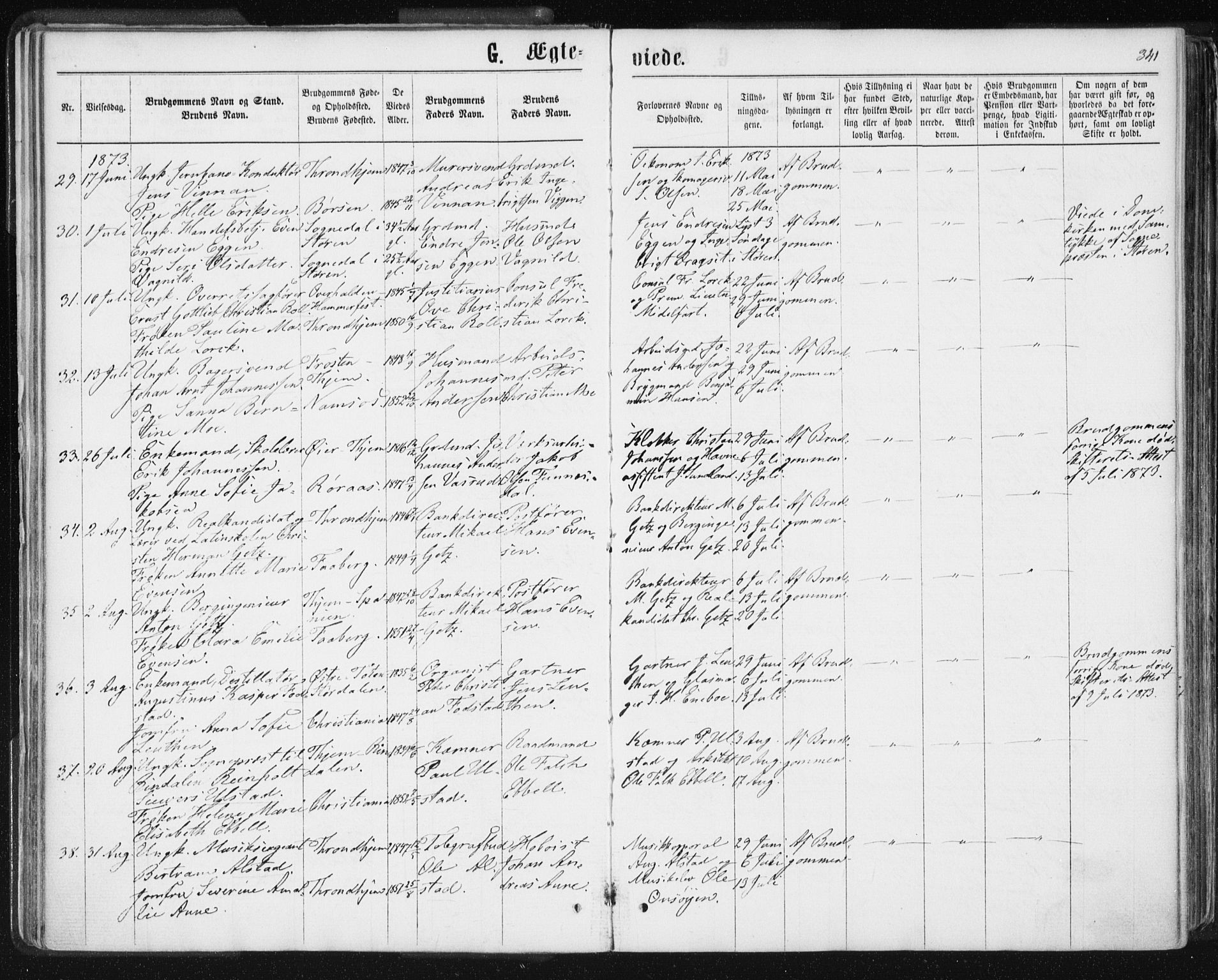 Ministerialprotokoller, klokkerbøker og fødselsregistre - Sør-Trøndelag, SAT/A-1456/601/L0055: Parish register (official) no. 601A23, 1866-1877, p. 341