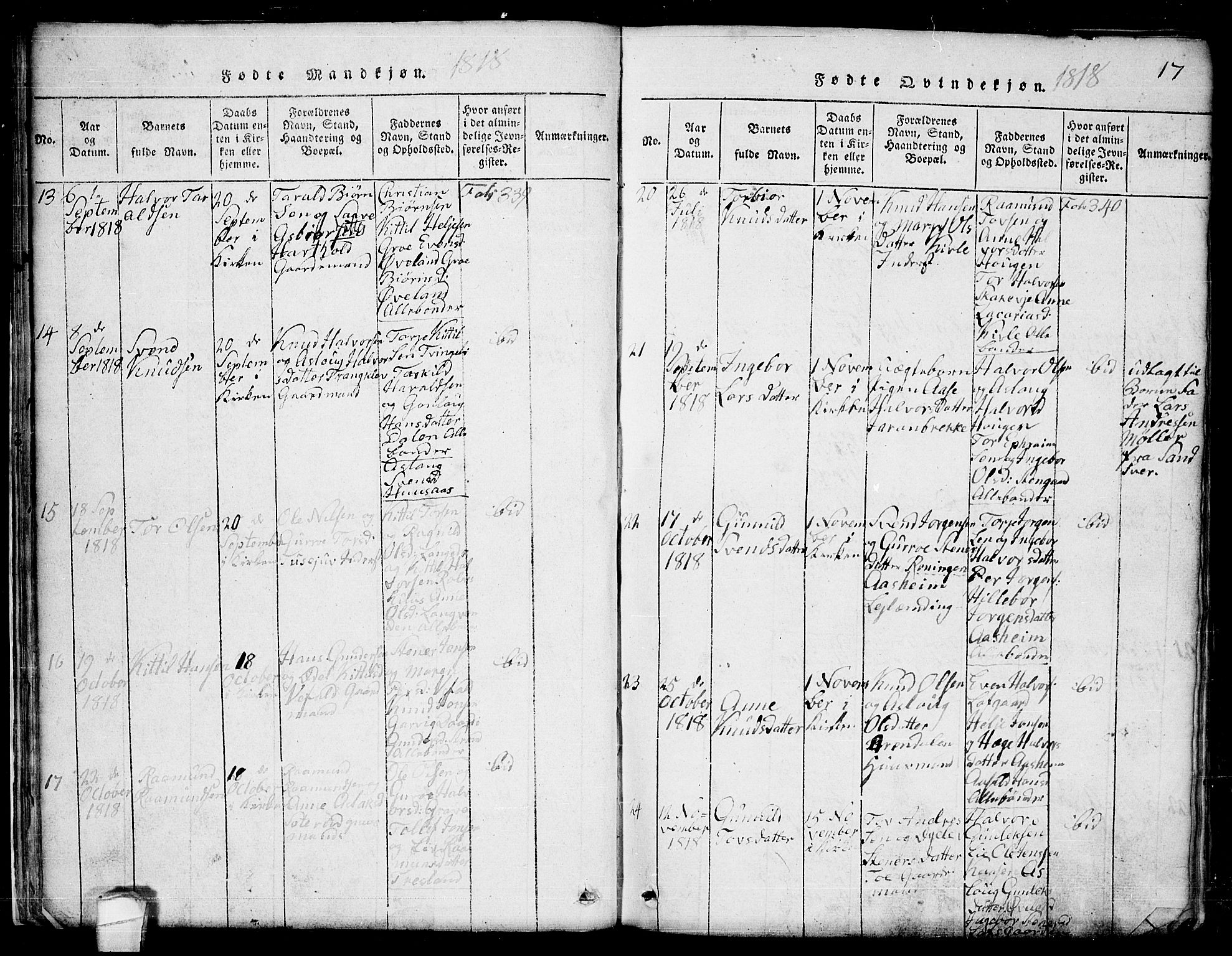 Seljord kirkebøker, AV/SAKO-A-20/G/Ga/L0001: Parish register (copy) no. I 1, 1815-1854, p. 17