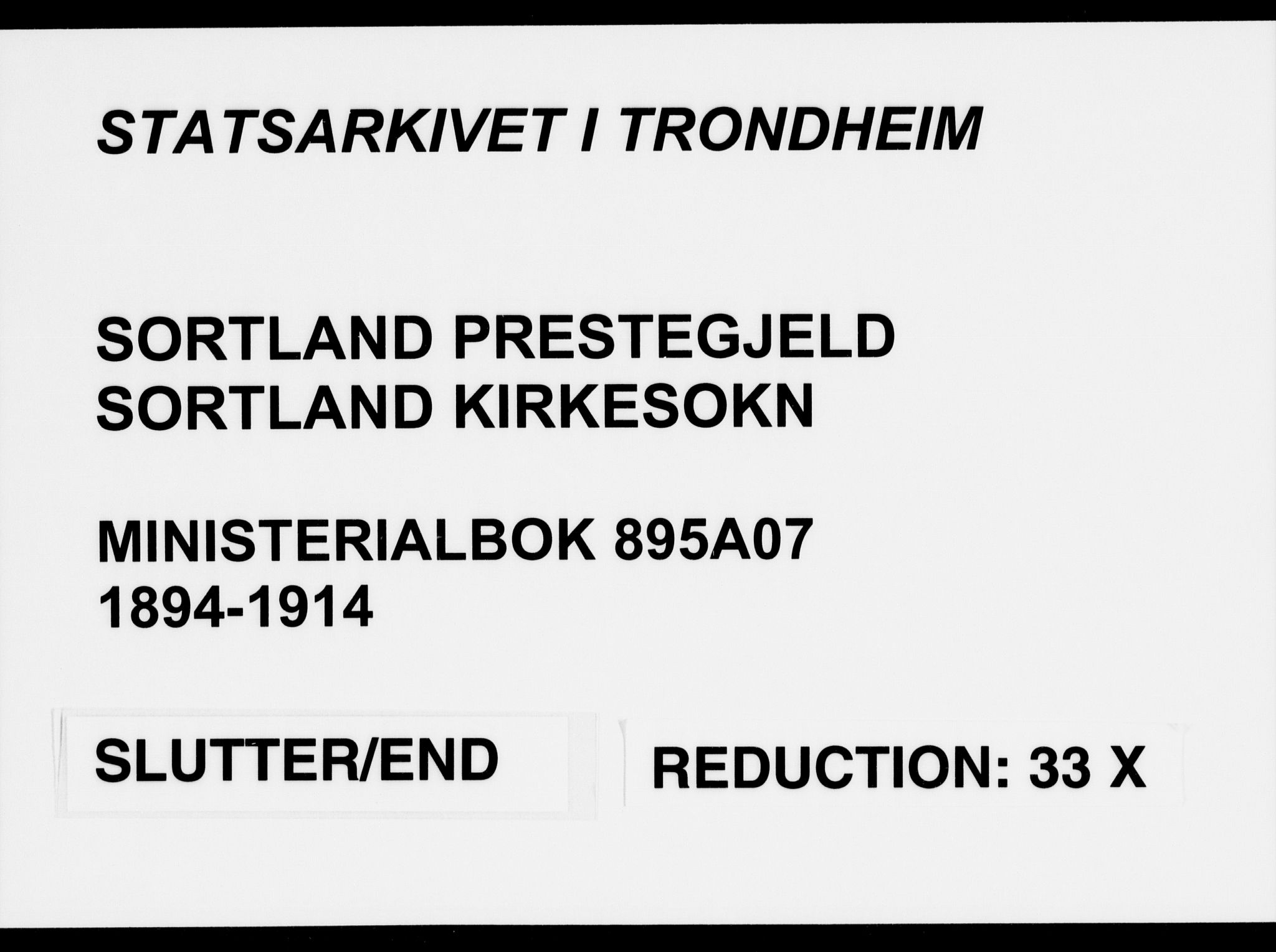 Ministerialprotokoller, klokkerbøker og fødselsregistre - Nordland, AV/SAT-A-1459/895/L1372: Parish register (official) no. 895A07, 1894-1914