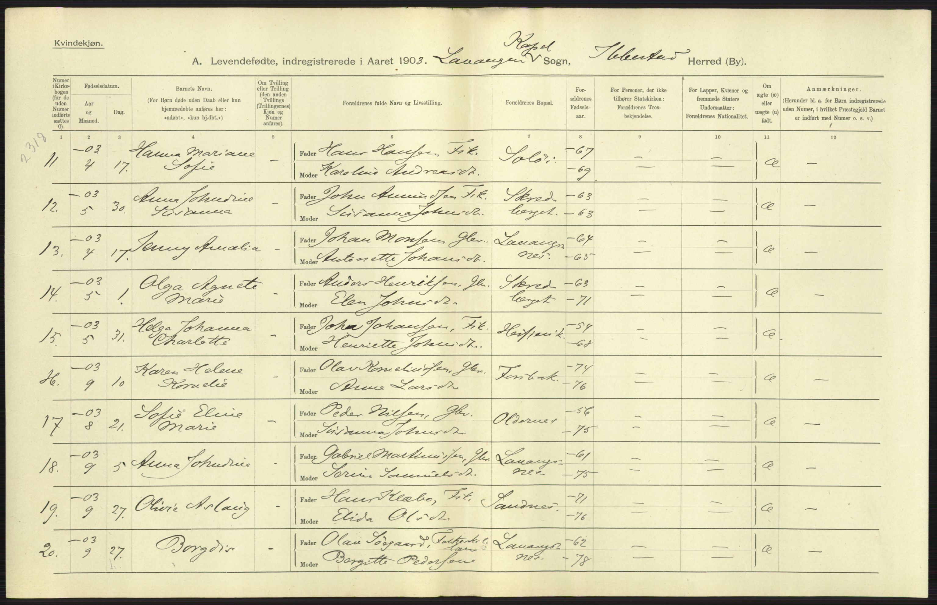 Statistisk sentralbyrå, Sosiodemografiske emner, Befolkning, AV/RA-S-2228/D/Df/Dfa/Dfaa/L0021: Tromsø amt: Fødte, gifte, døde., 1903, p. 33