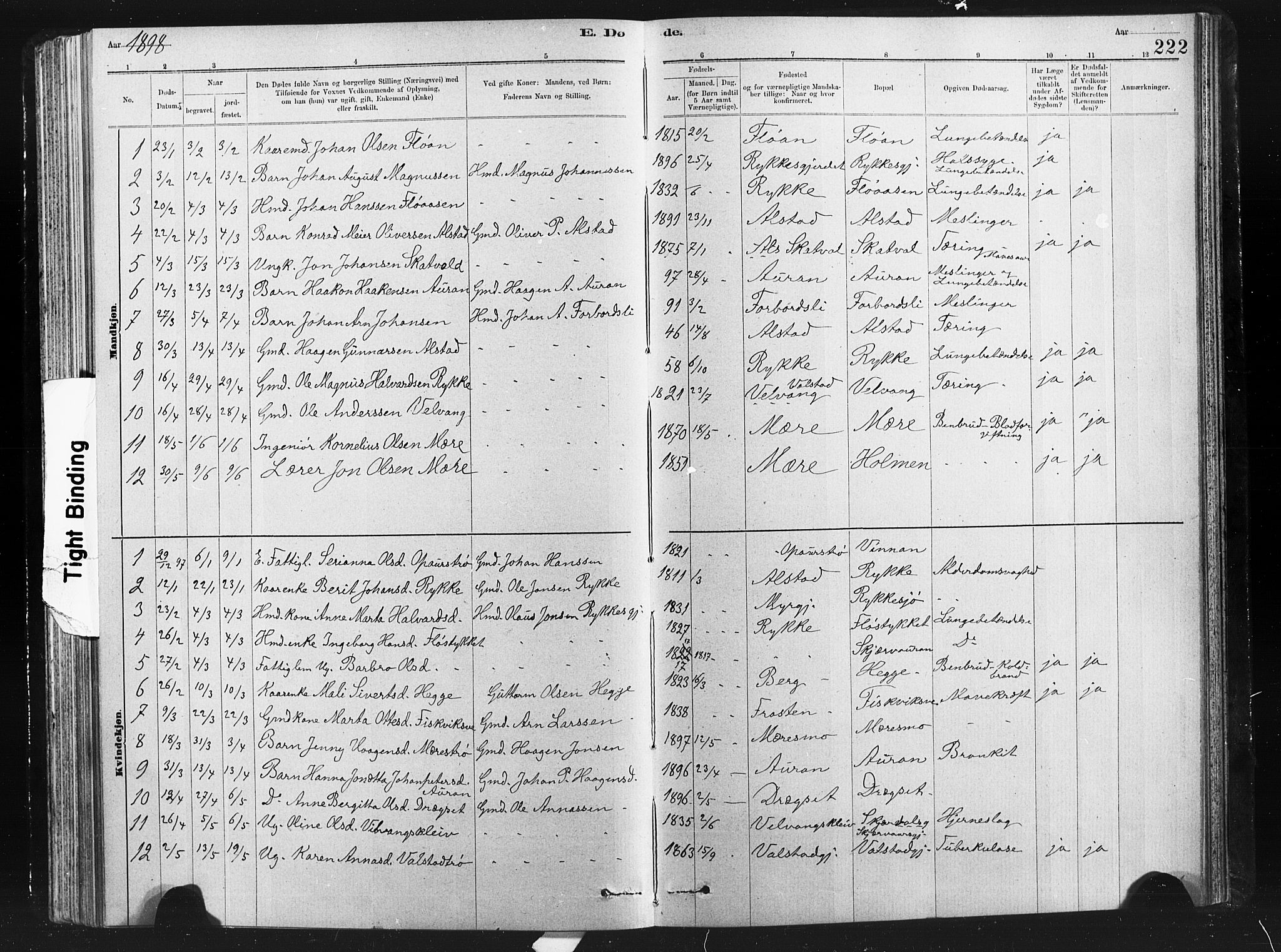 Ministerialprotokoller, klokkerbøker og fødselsregistre - Nord-Trøndelag, SAT/A-1458/712/L0103: Parish register (copy) no. 712C01, 1878-1917, p. 222