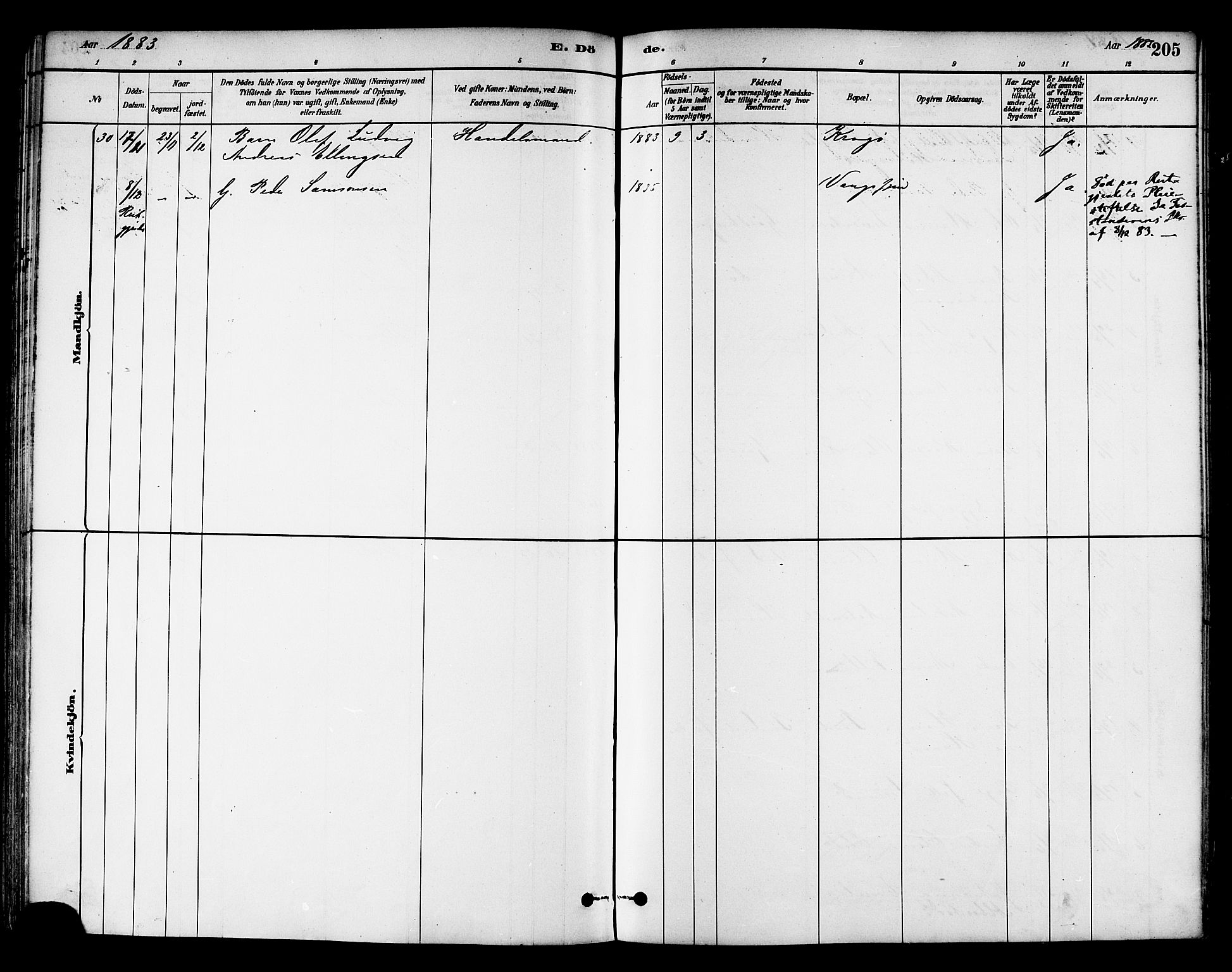 Ministerialprotokoller, klokkerbøker og fødselsregistre - Nord-Trøndelag, AV/SAT-A-1458/786/L0686: Parish register (official) no. 786A02, 1880-1887, p. 205