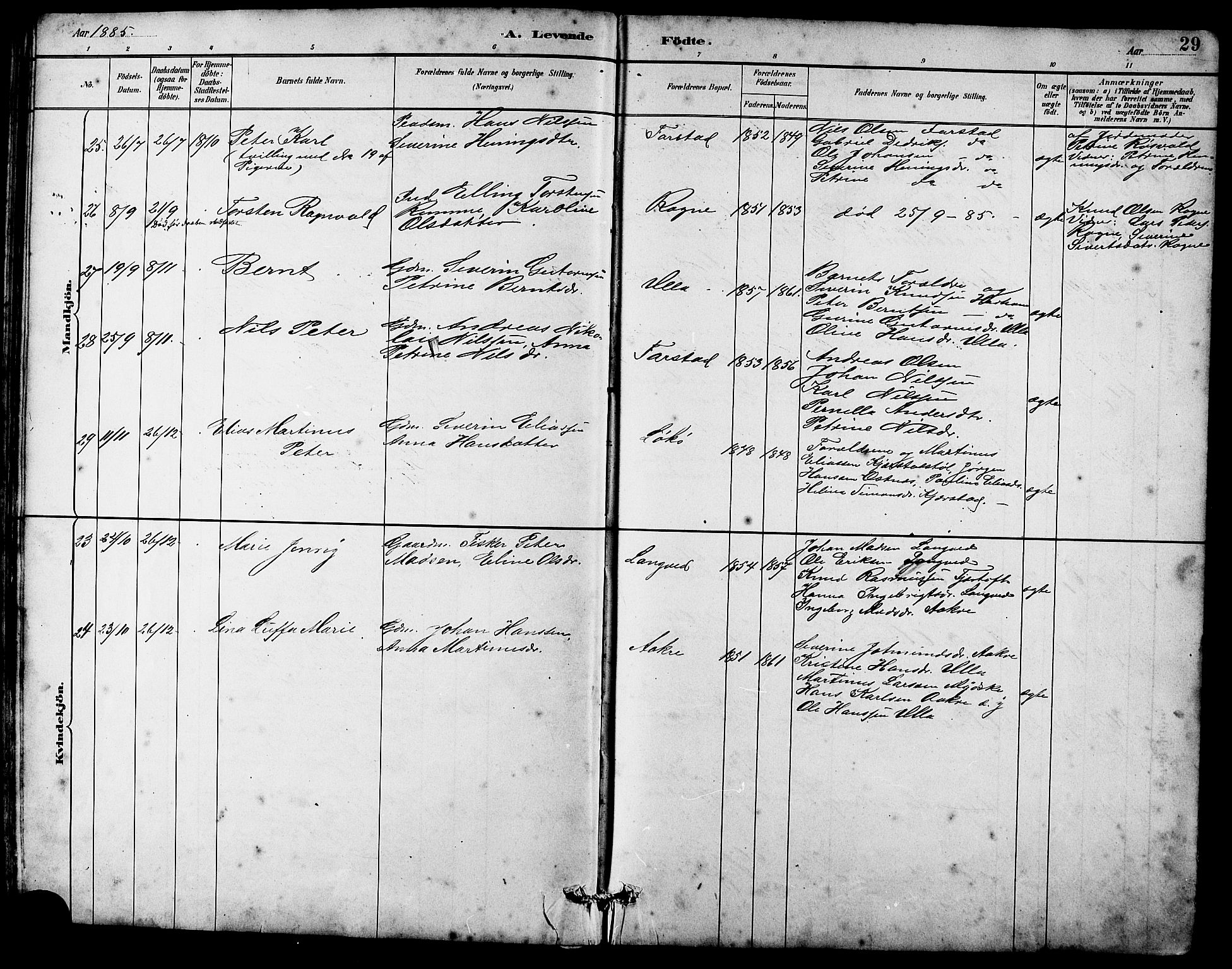 Ministerialprotokoller, klokkerbøker og fødselsregistre - Møre og Romsdal, SAT/A-1454/536/L0510: Parish register (copy) no. 536C05, 1881-1898, p. 29