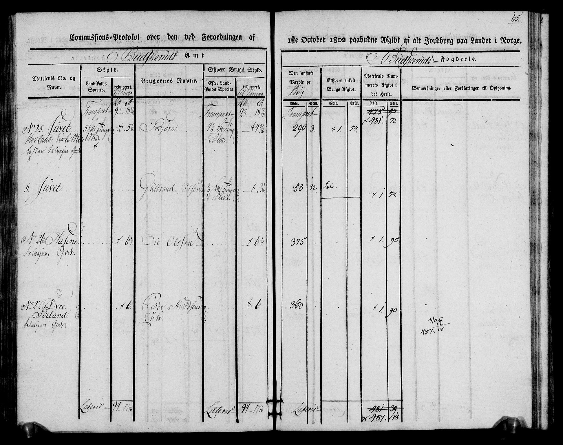 Rentekammeret inntil 1814, Realistisk ordnet avdeling, RA/EA-4070/N/Ne/Nea/L0060: Buskerud fogderi. Kommisjonsprotokoll for Sigdal prestegjeld, 1803, p. 65