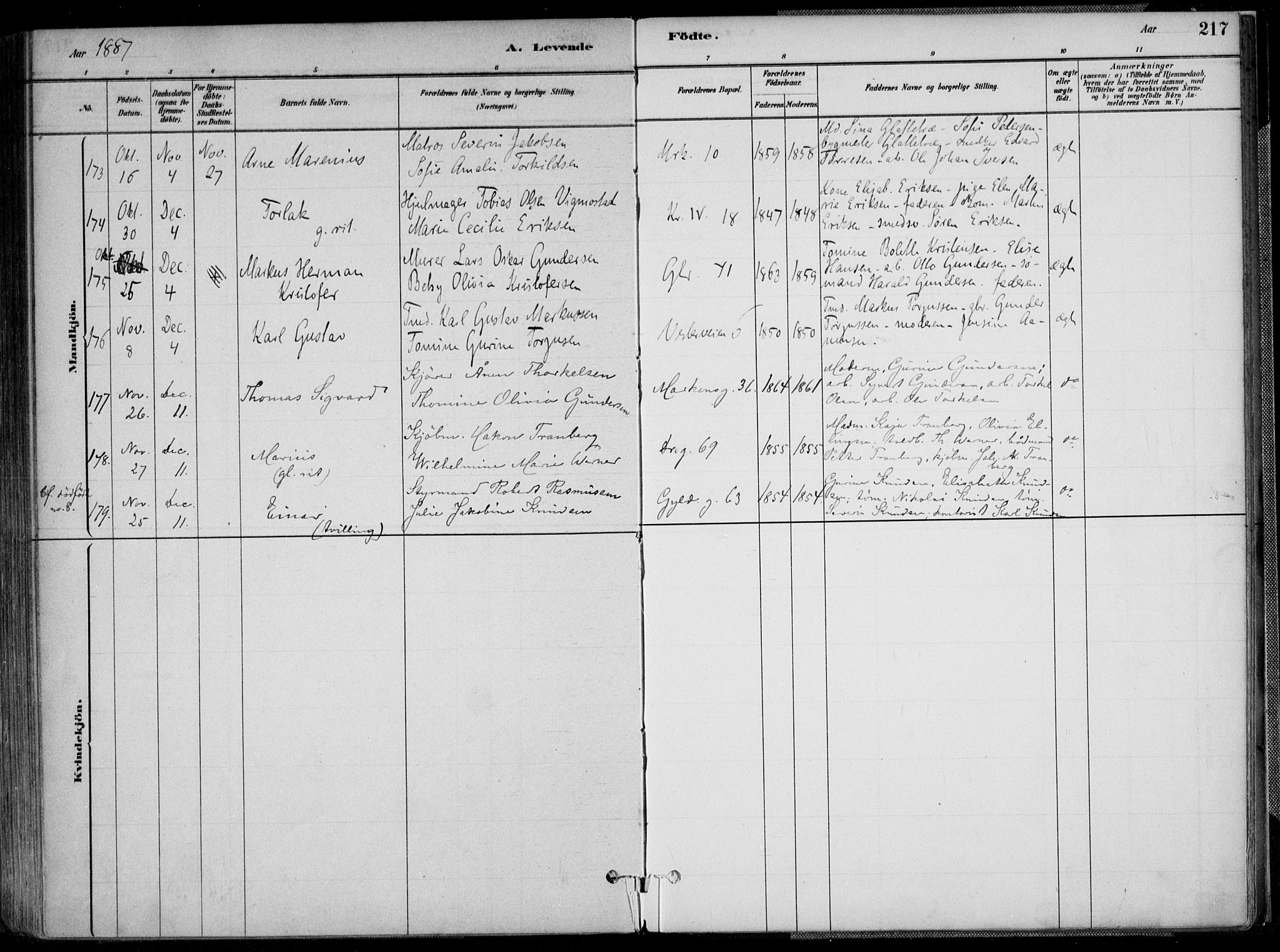 Kristiansand domprosti, AV/SAK-1112-0006/F/Fa/L0016: Parish register (official) no. A 16A, 1880-1890, p. 217