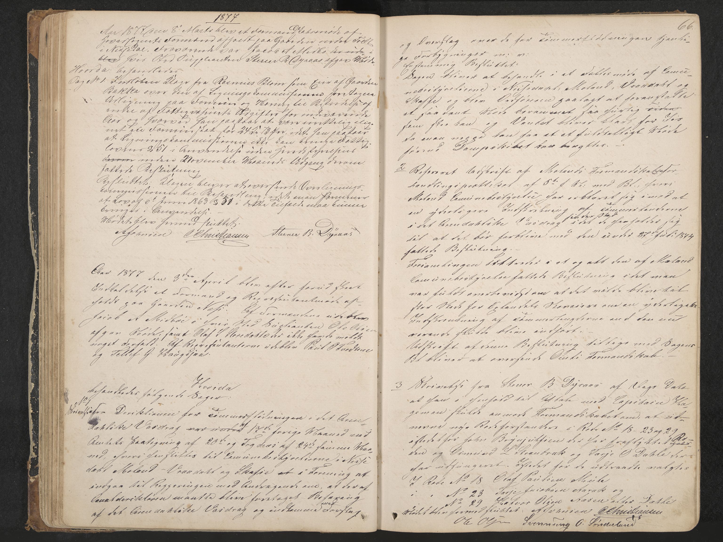 Nissedal formannskap og sentraladministrasjon, IKAK/0830021-1/A/L0002: Møtebok, 1870-1892, p. 66