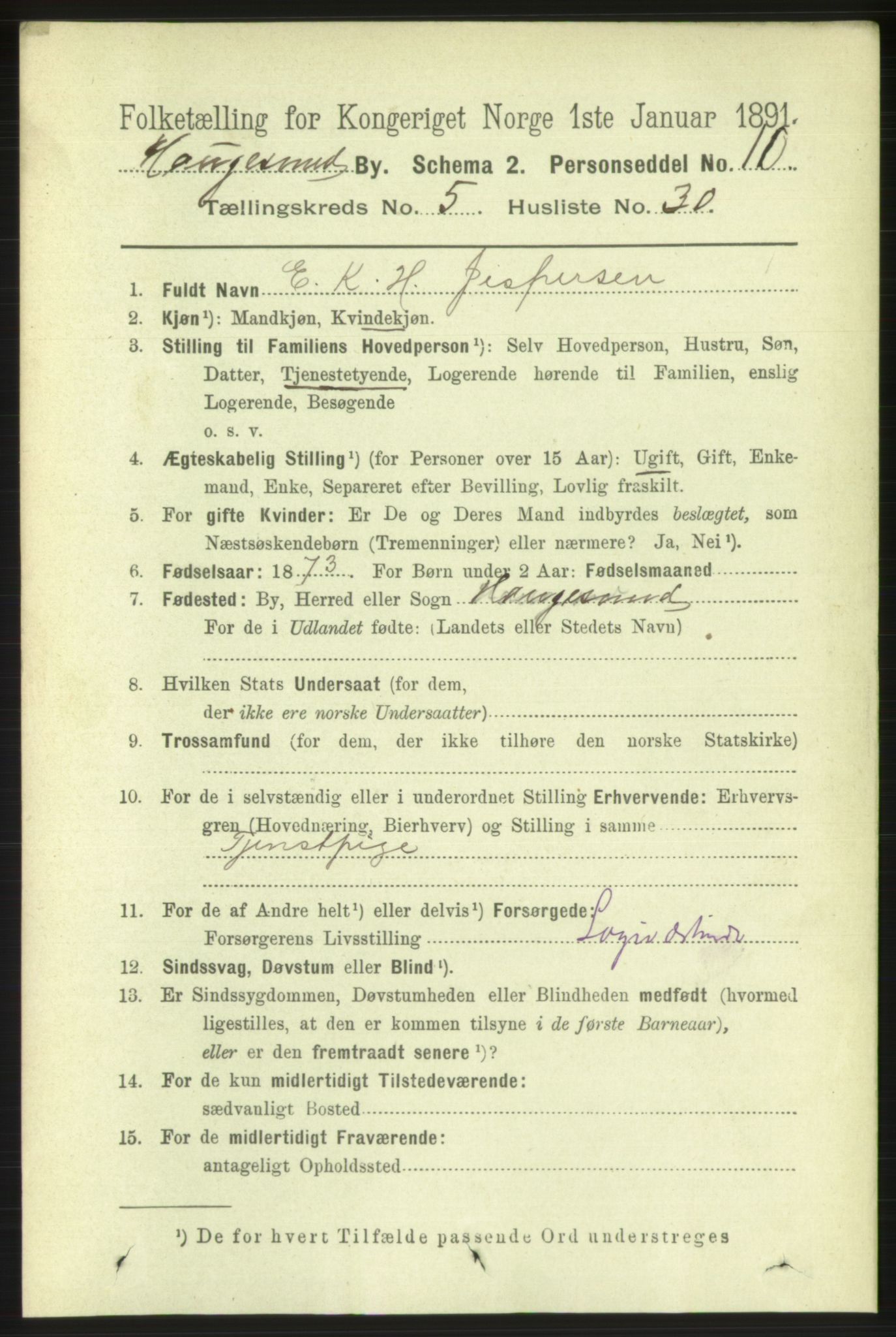 RA, 1891 census for 1106 Haugesund, 1891, p. 2542