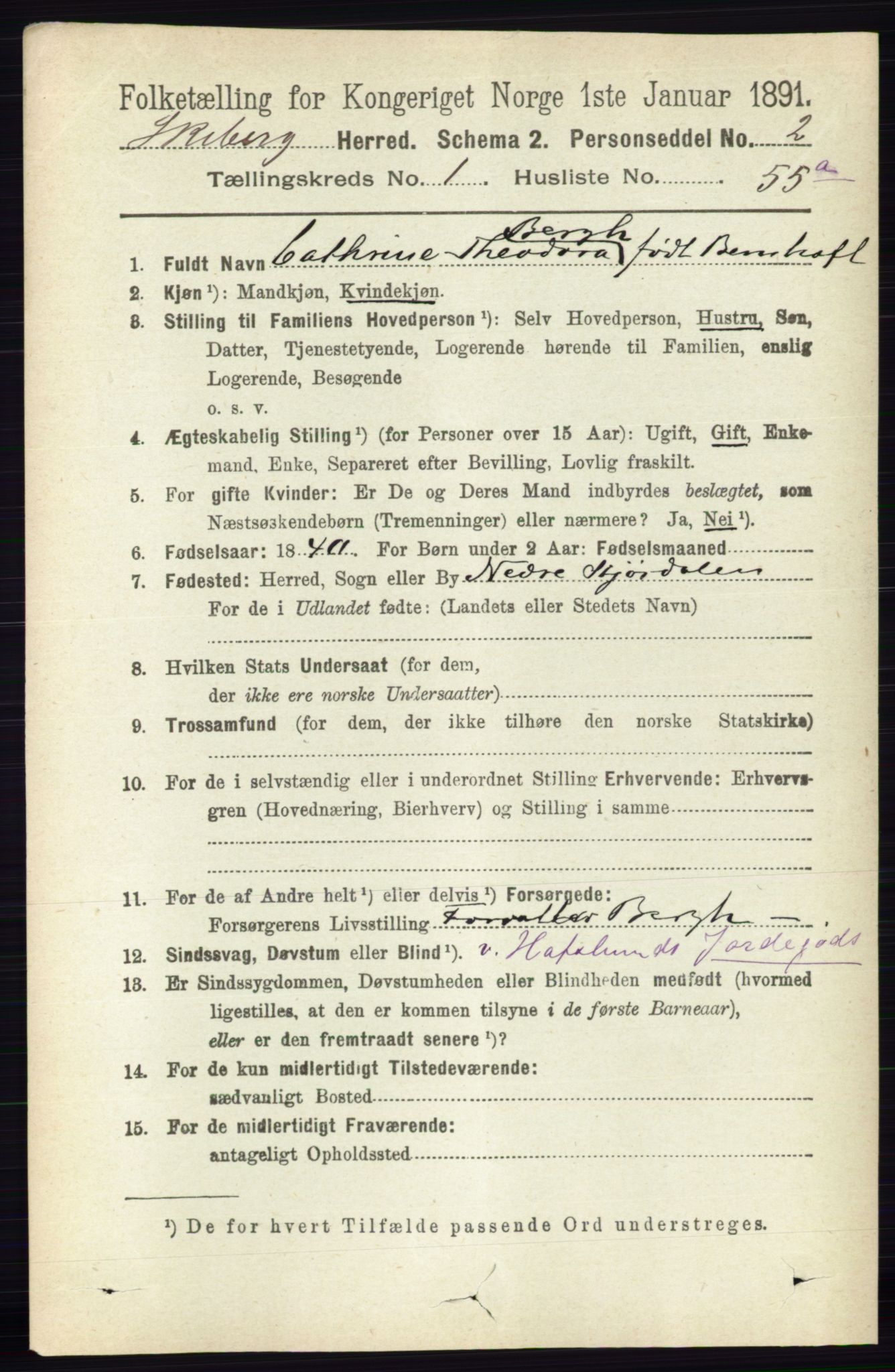RA, 1891 census for 0115 Skjeberg, 1891, p. 801