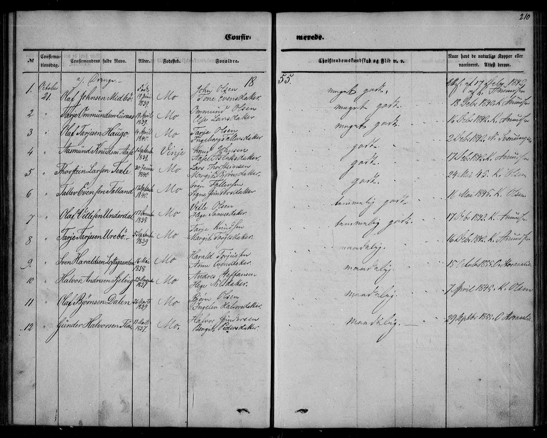 Mo kirkebøker, AV/SAKO-A-286/F/Fa/L0005: Parish register (official) no. I 5, 1844-1864, p. 210