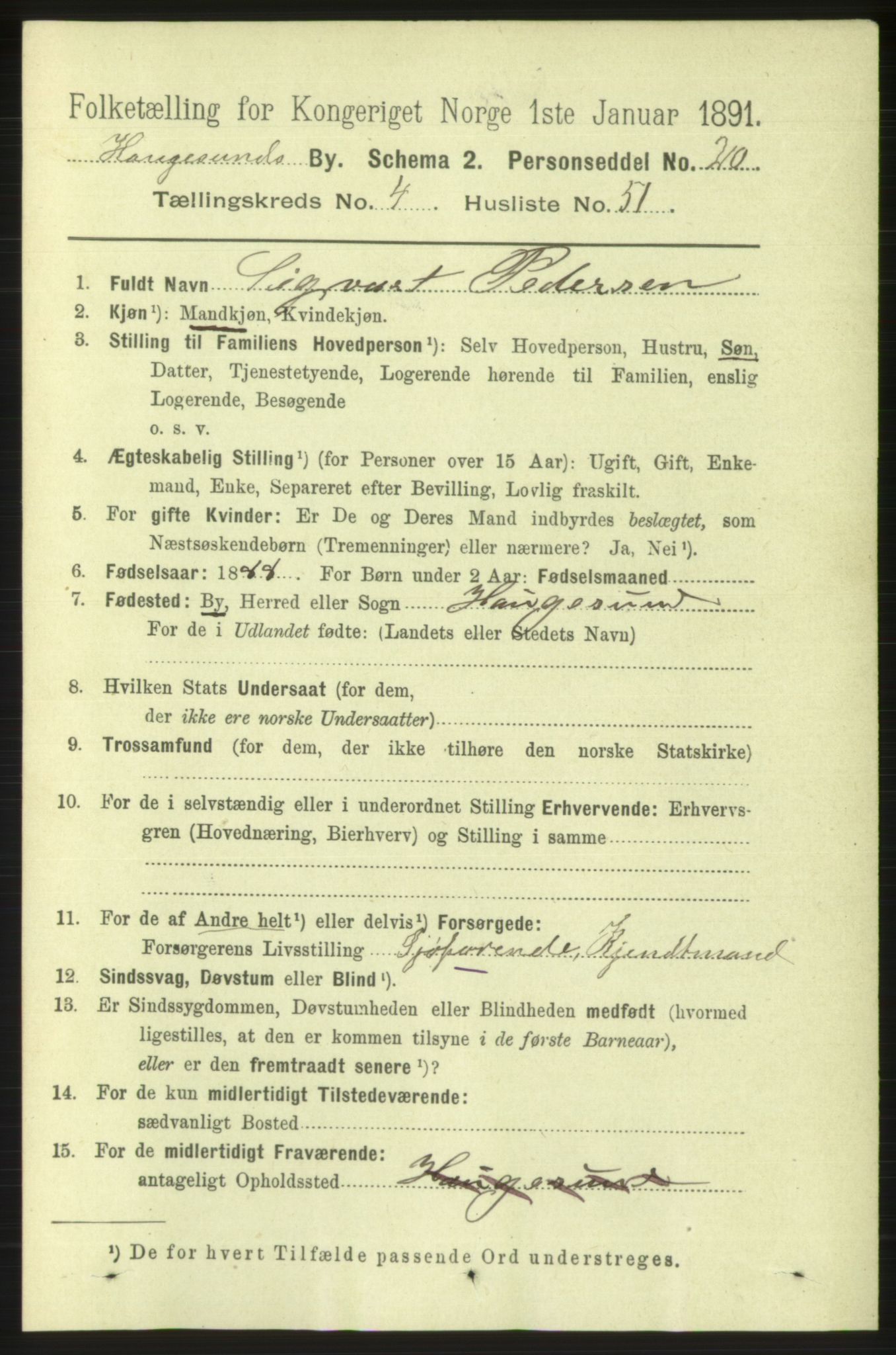 RA, 1891 census for 1106 Haugesund, 1891, p. 1918