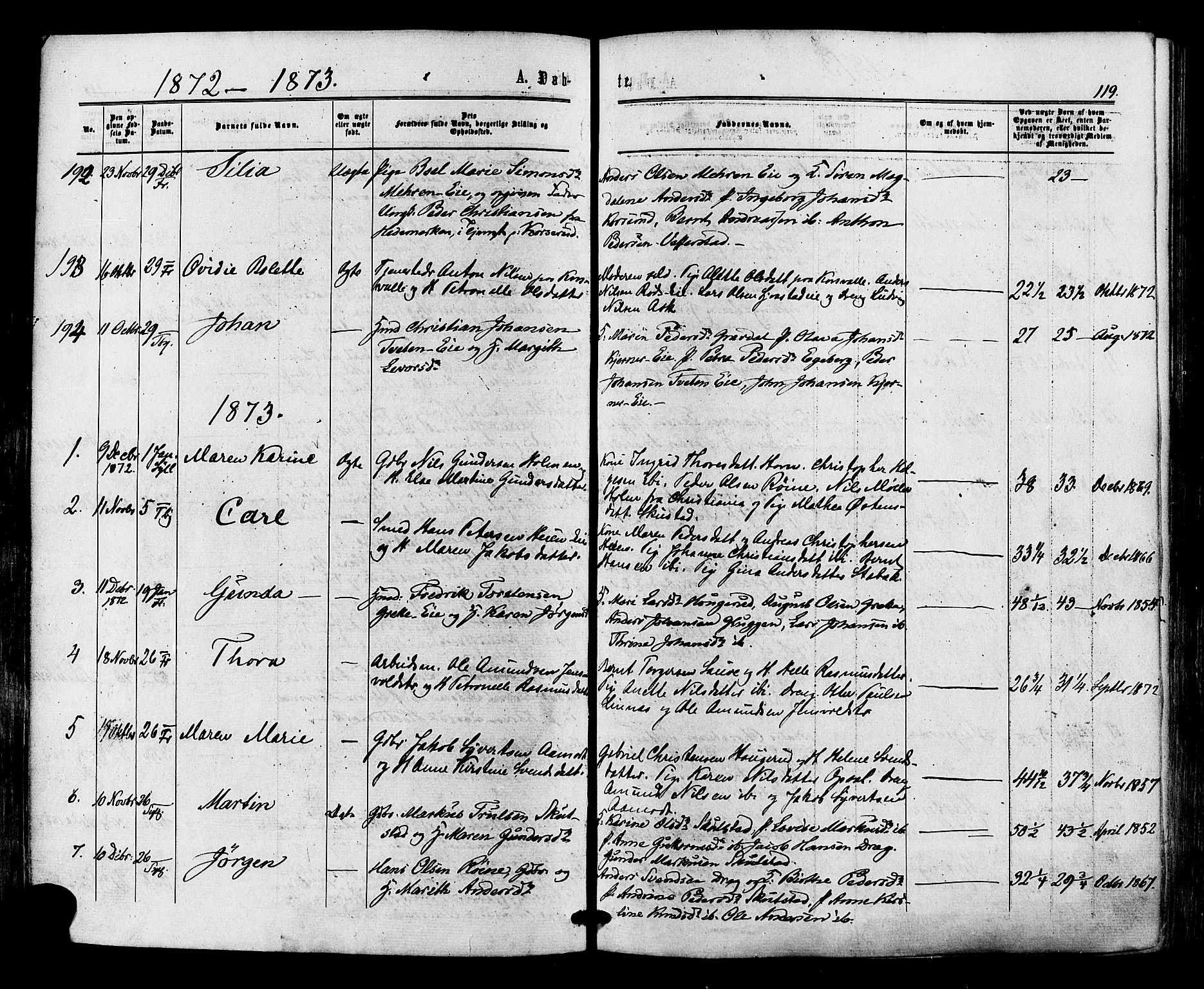 Lier kirkebøker, AV/SAKO-A-230/F/Fa/L0013: Parish register (official) no. I 13, 1865-1874, p. 119