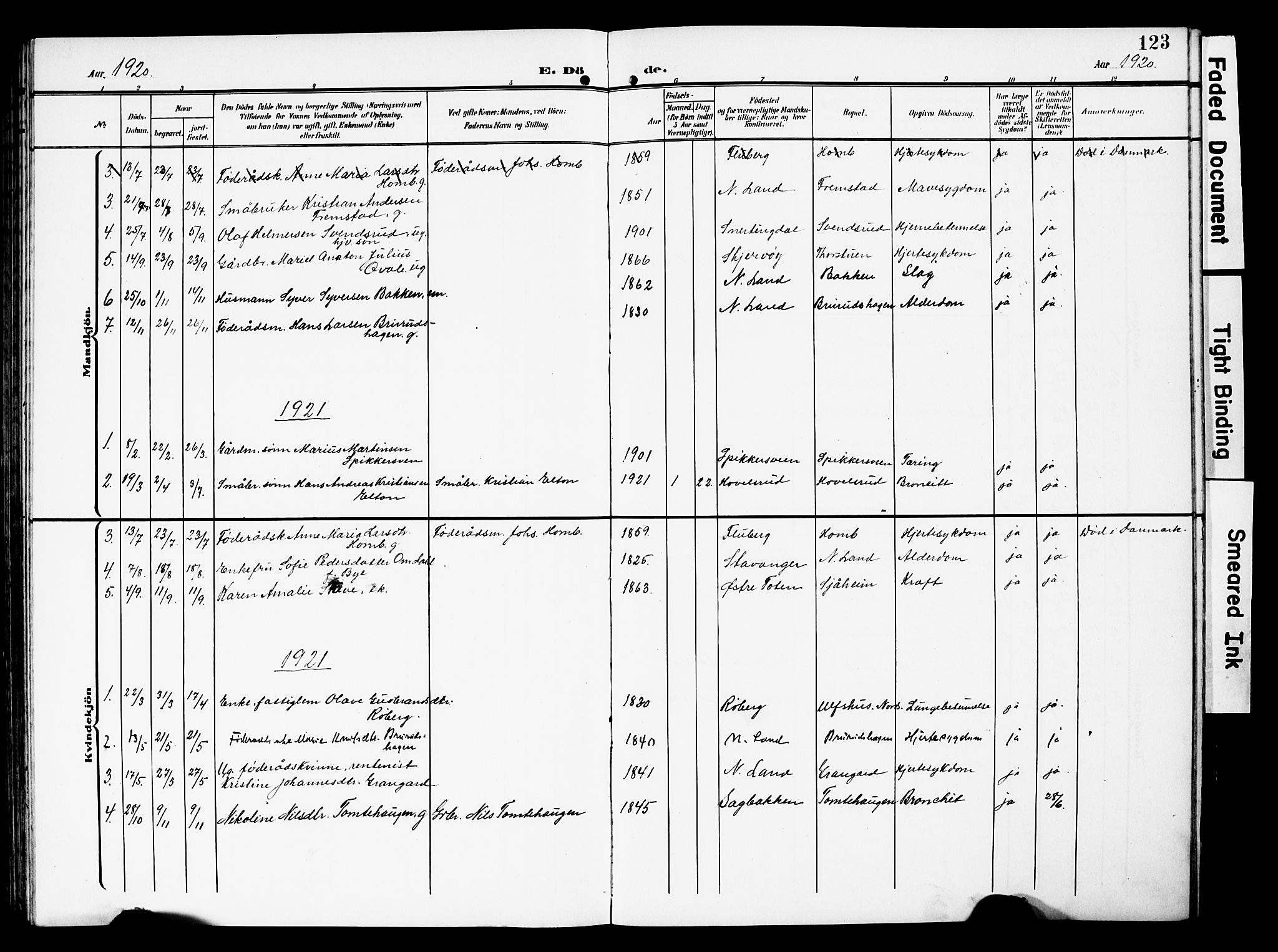 Nordre Land prestekontor, AV/SAH-PREST-124/H/Ha/Hab/L0001: Parish register (copy) no. 1, 1908-1931, p. 123