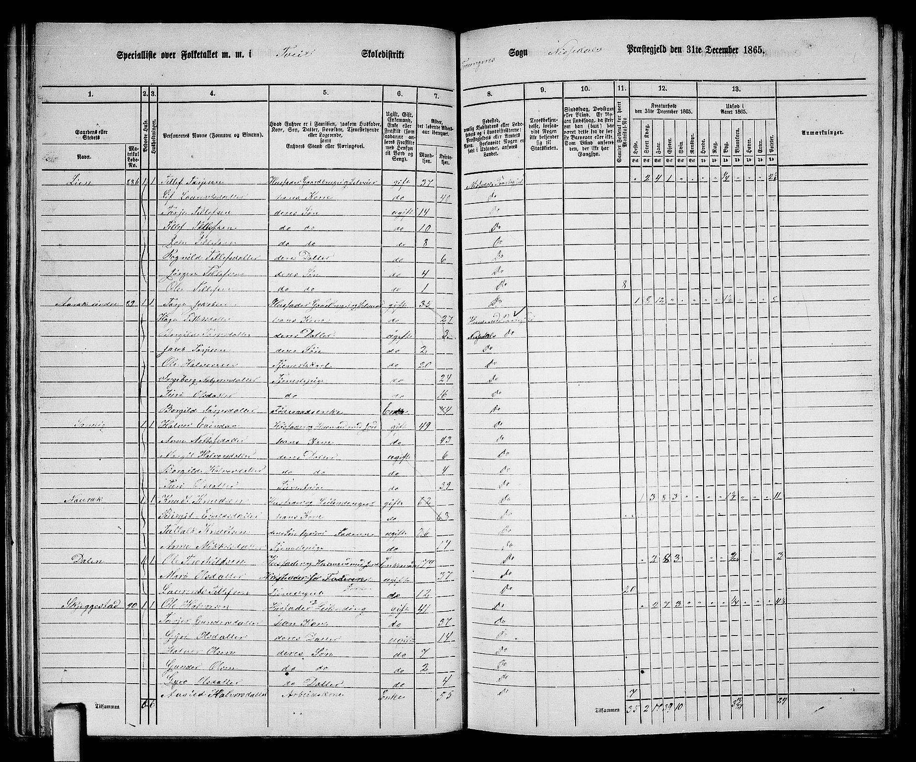 RA, 1865 census for Nissedal, 1865, p. 62