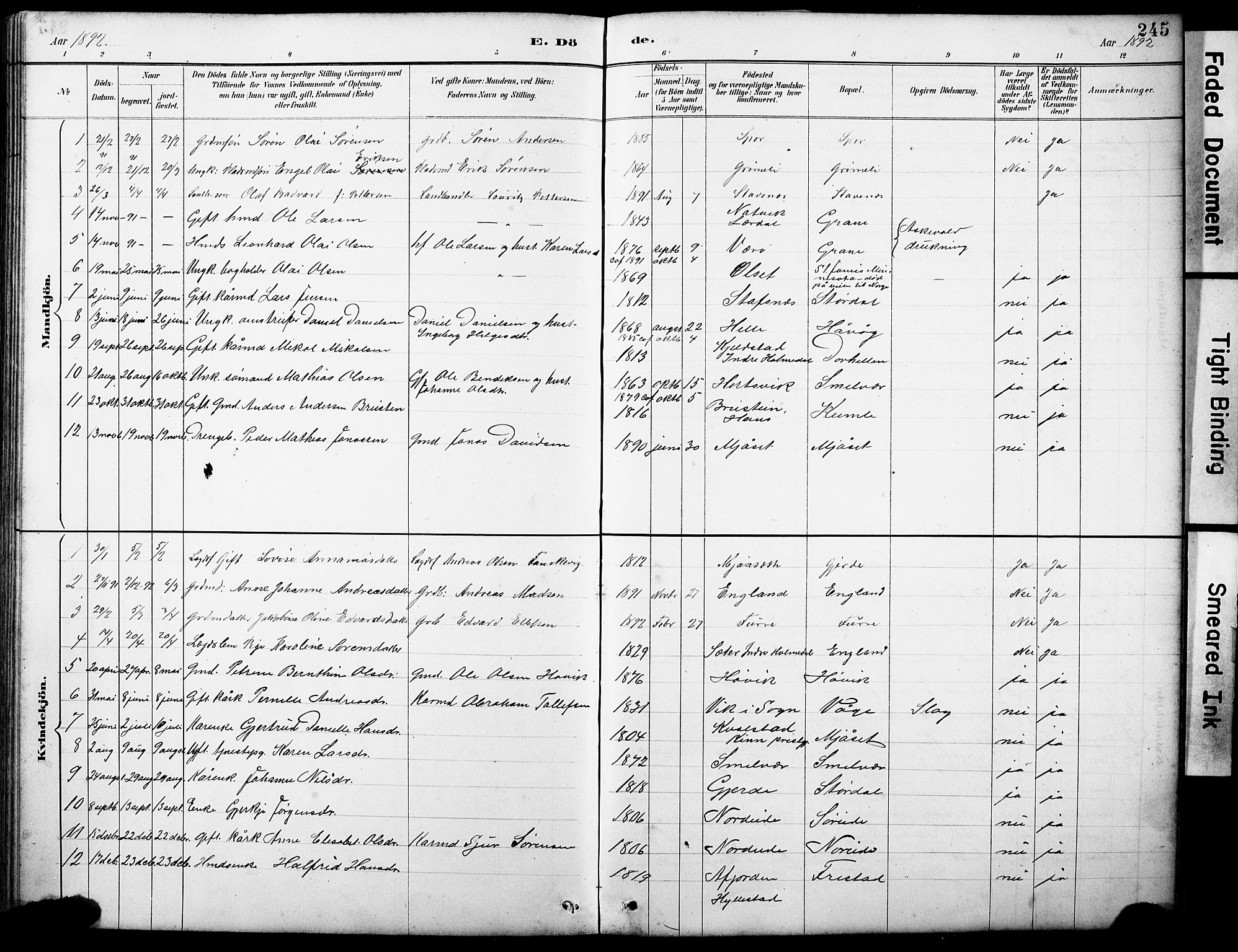 Askvoll sokneprestembete, AV/SAB-A-79501/H/Hab/Haba/L0003: Parish register (copy) no. A 3, 1886-1928, p. 245