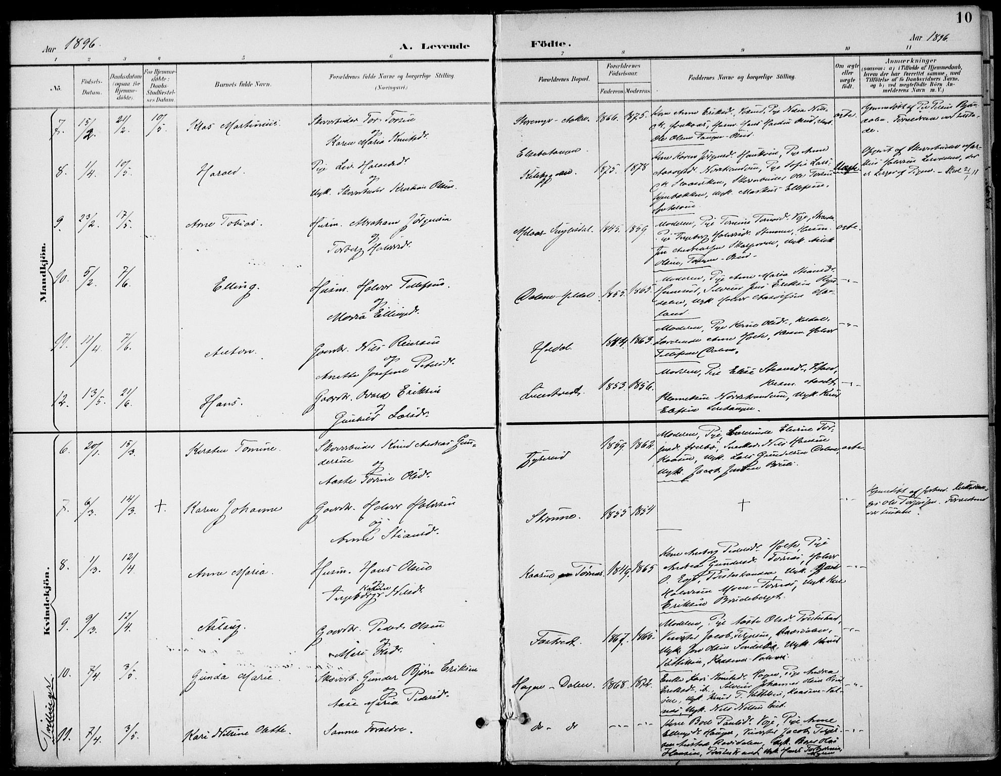Drangedal kirkebøker, SAKO/A-258/F/Fa/L0012: Parish register (official) no. 12, 1895-1905, p. 10