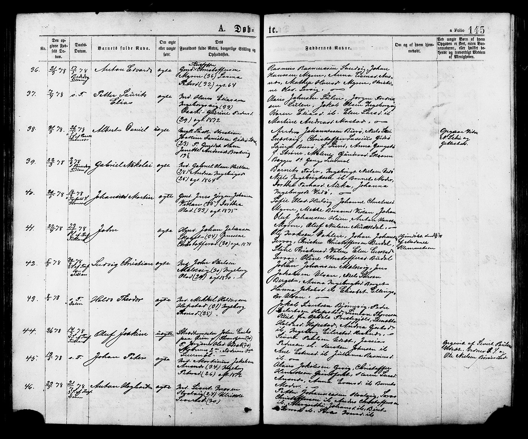 Ministerialprotokoller, klokkerbøker og fødselsregistre - Sør-Trøndelag, AV/SAT-A-1456/634/L0532: Parish register (official) no. 634A08, 1871-1881, p. 145