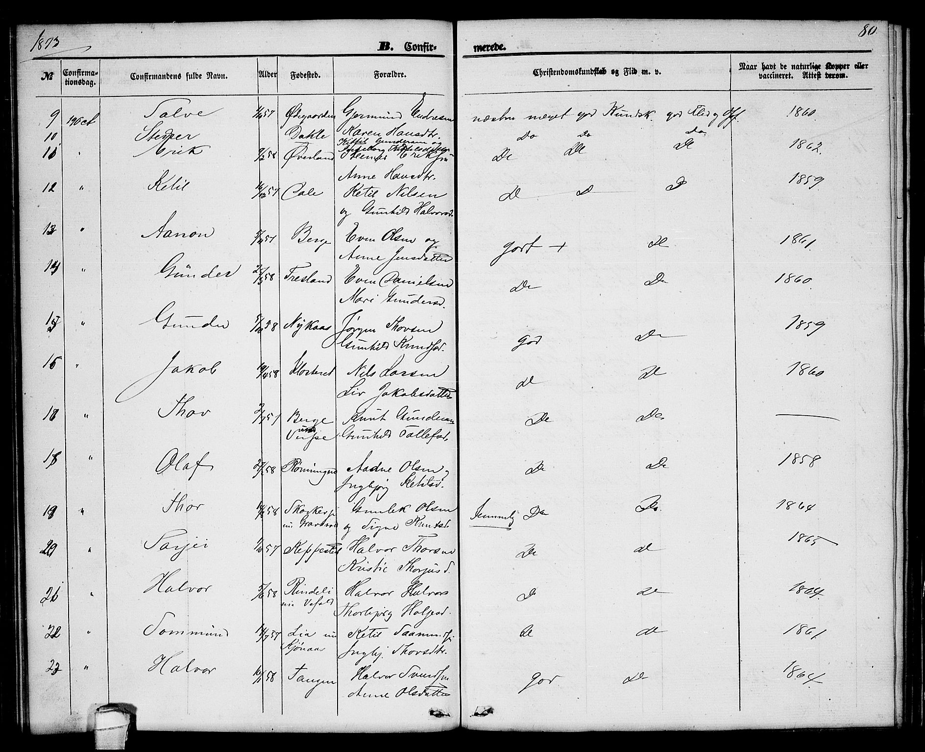 Seljord kirkebøker, SAKO/A-20/G/Ga/L0003: Parish register (copy) no. I 3, 1866-1873, p. 80