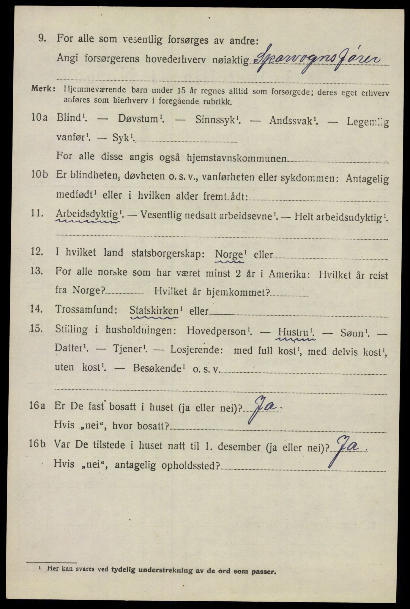 SAO, 1920 census for Nes, 1920, p. 13951