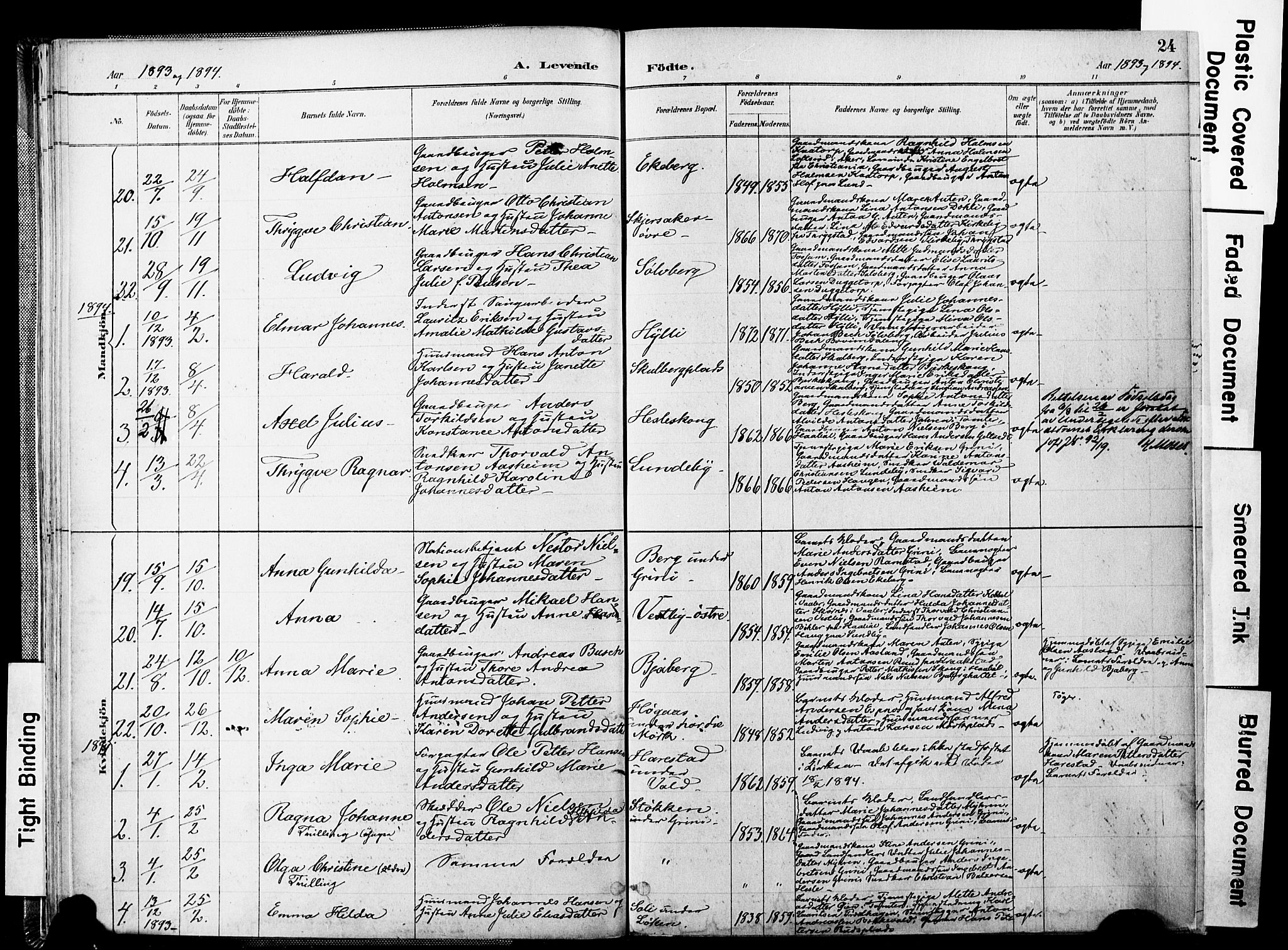 Spydeberg prestekontor Kirkebøker, AV/SAO-A-10924/F/Fa/L0008: Parish register (official) no. I 8, 1886-1900, p. 24