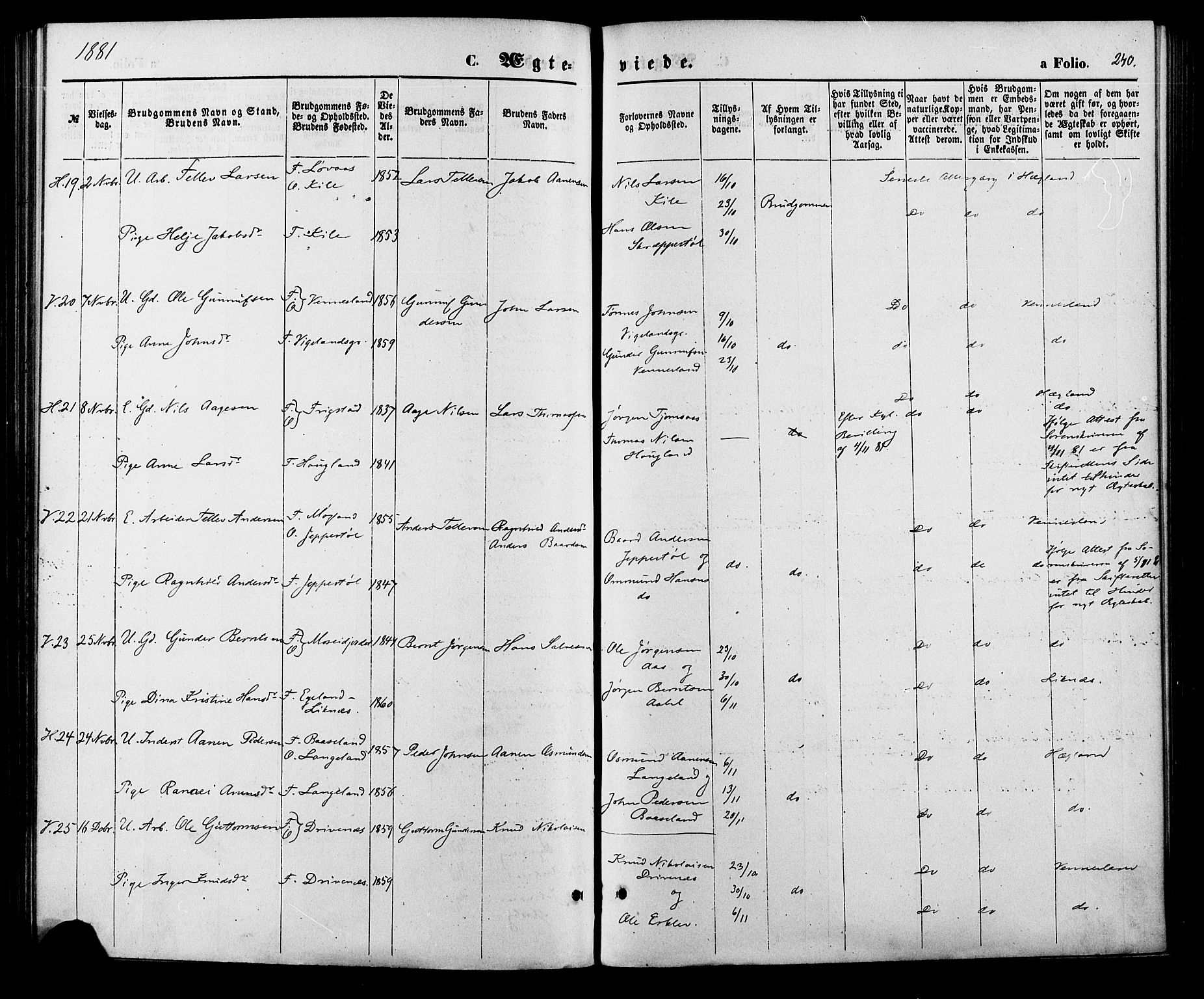 Vennesla sokneprestkontor, AV/SAK-1111-0045/Fa/Fac/L0008: Parish register (official) no. A 8, 1874-1883, p. 240