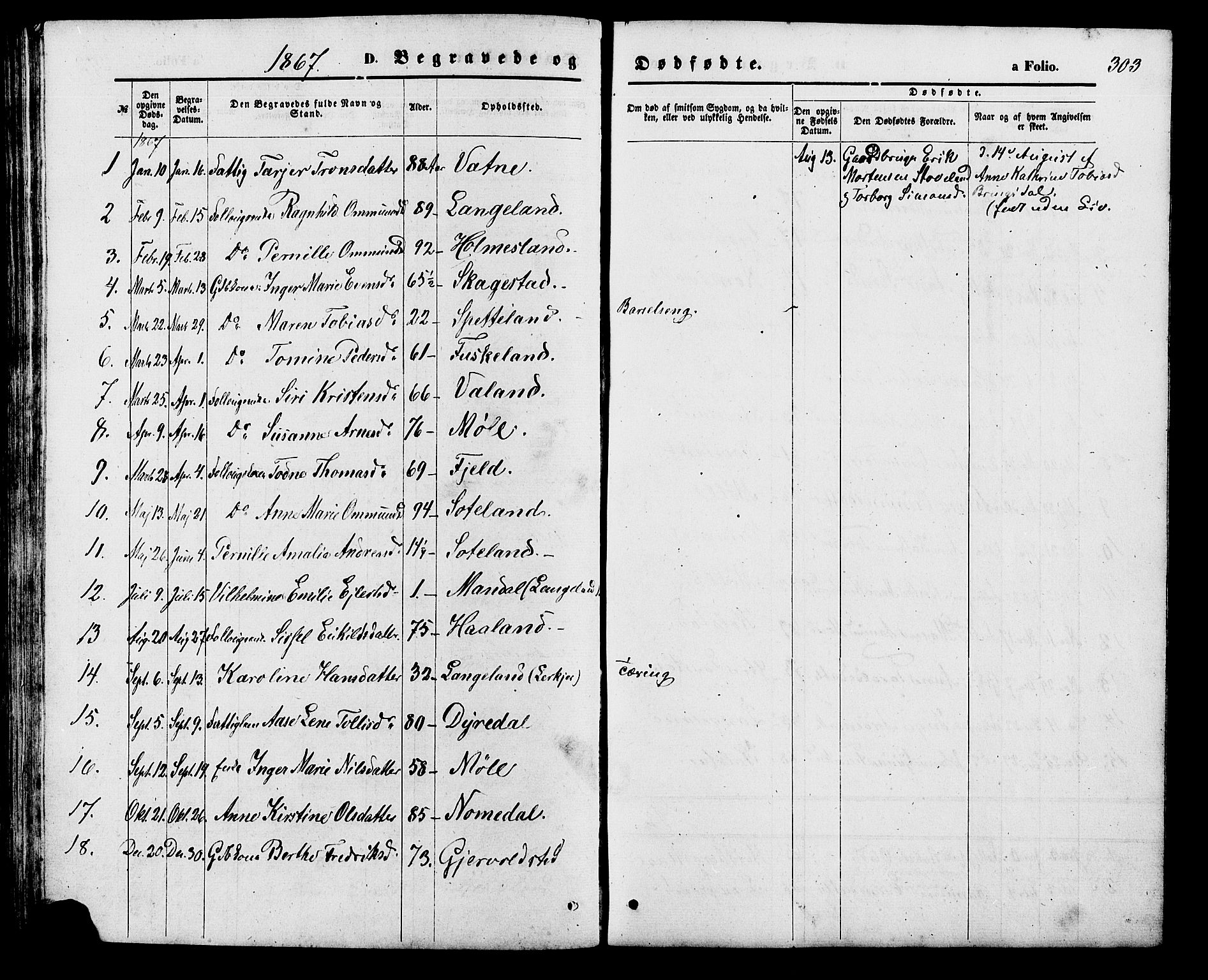 Holum sokneprestkontor, SAK/1111-0022/F/Fb/Fba/L0004: Parish register (copy) no. B 4, 1867-1890, p. 303
