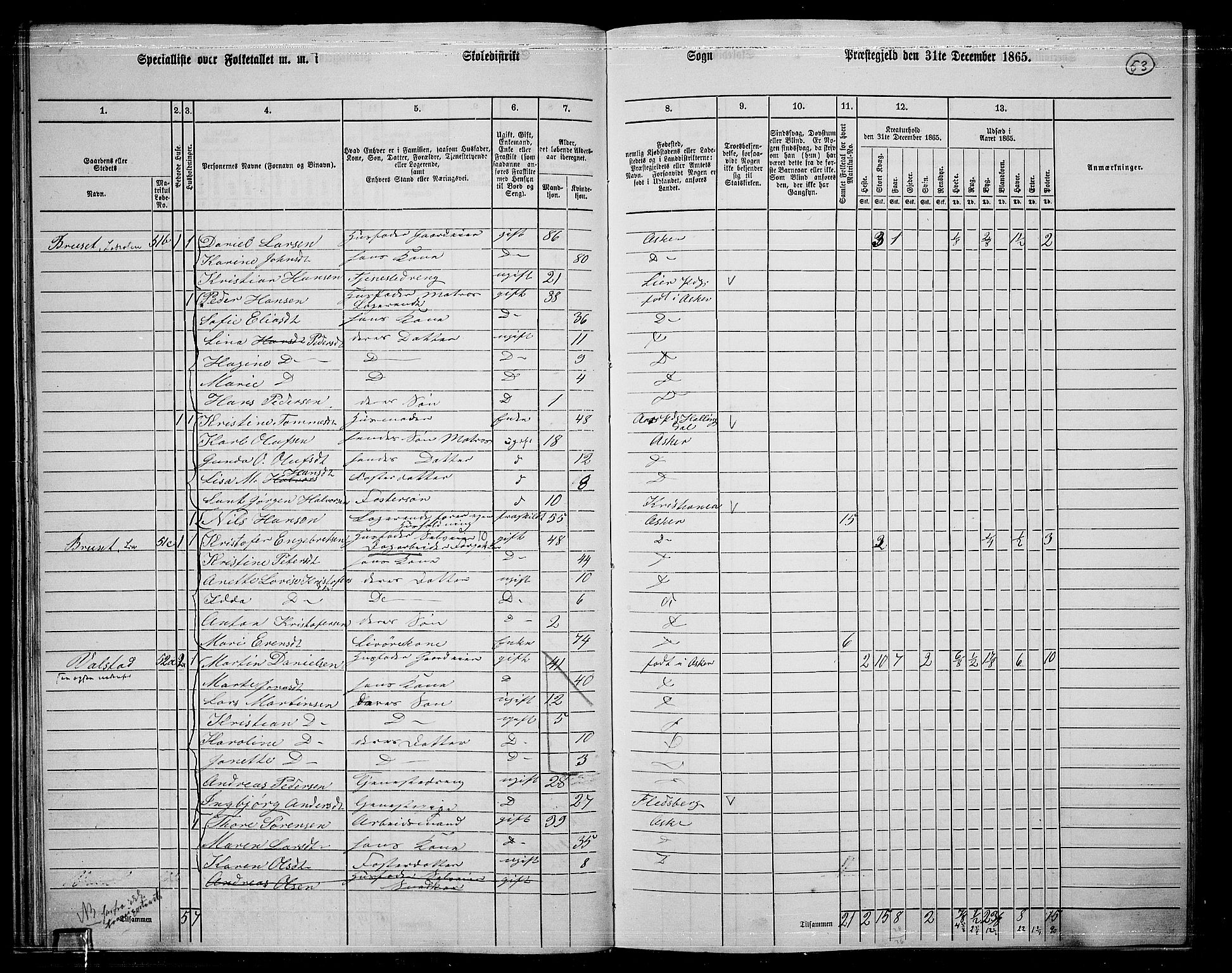 RA, 1865 census for Asker, 1865, p. 52
