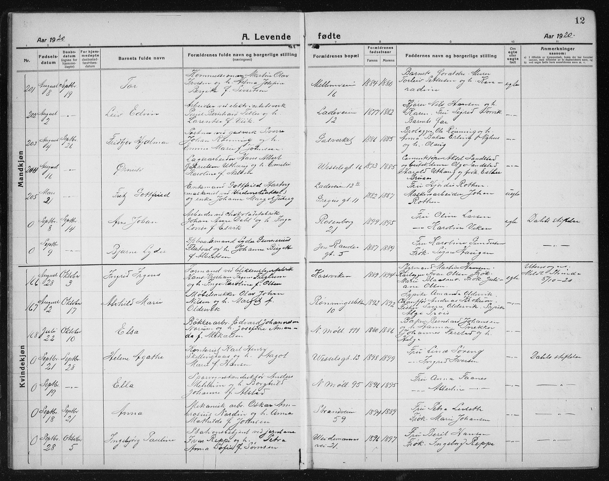 Ministerialprotokoller, klokkerbøker og fødselsregistre - Sør-Trøndelag, SAT/A-1456/605/L0259: Parish register (copy) no. 605C06, 1920-1937, p. 12