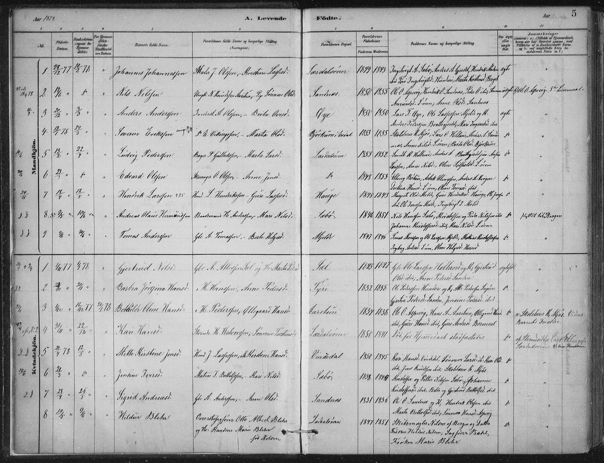 Lærdal sokneprestembete, SAB/A-81201: Parish register (official) no. D  1, 1878-1908, p. 5