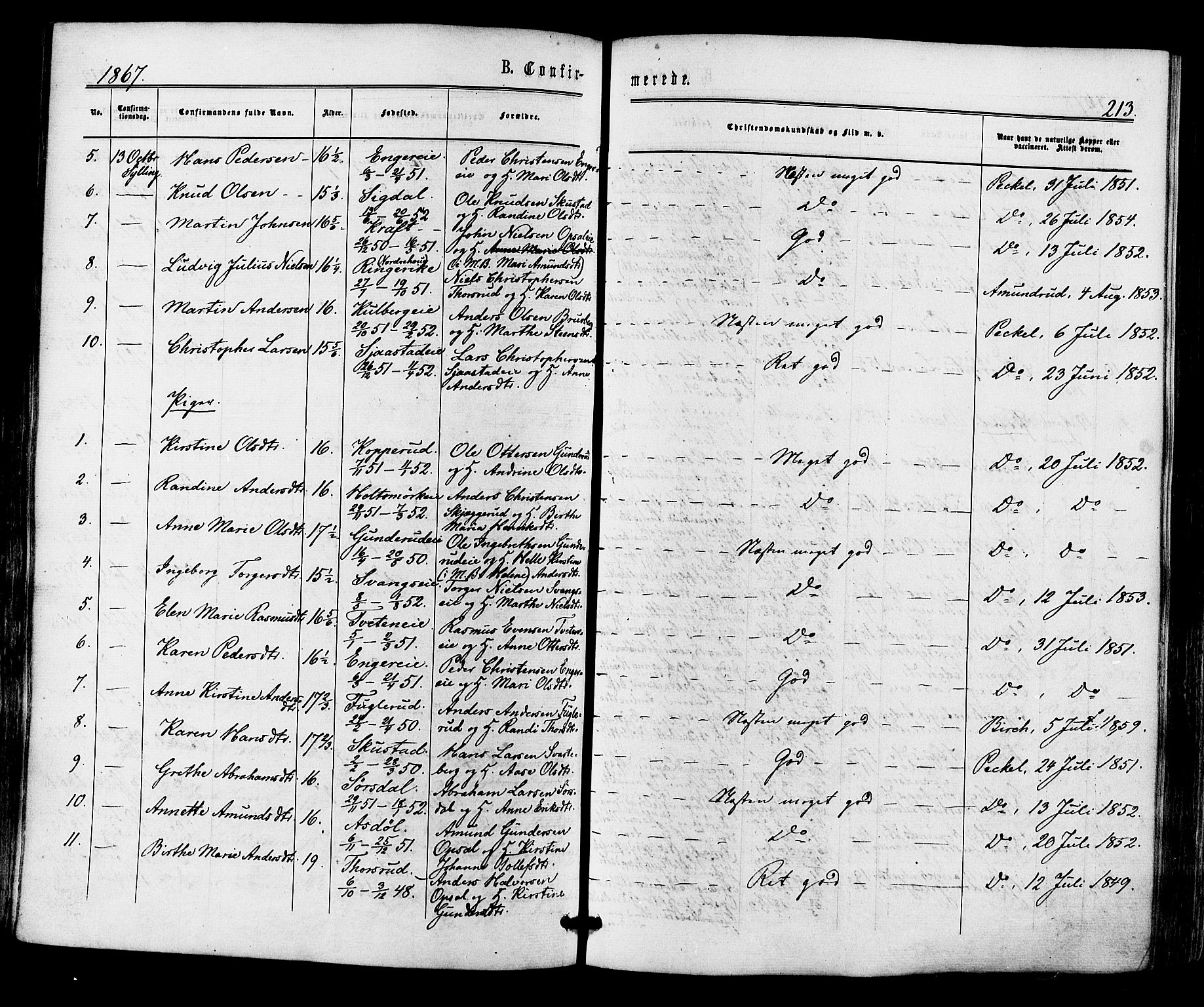 Lier kirkebøker, SAKO/A-230/F/Fa/L0013: Parish register (official) no. I 13, 1865-1874, p. 213