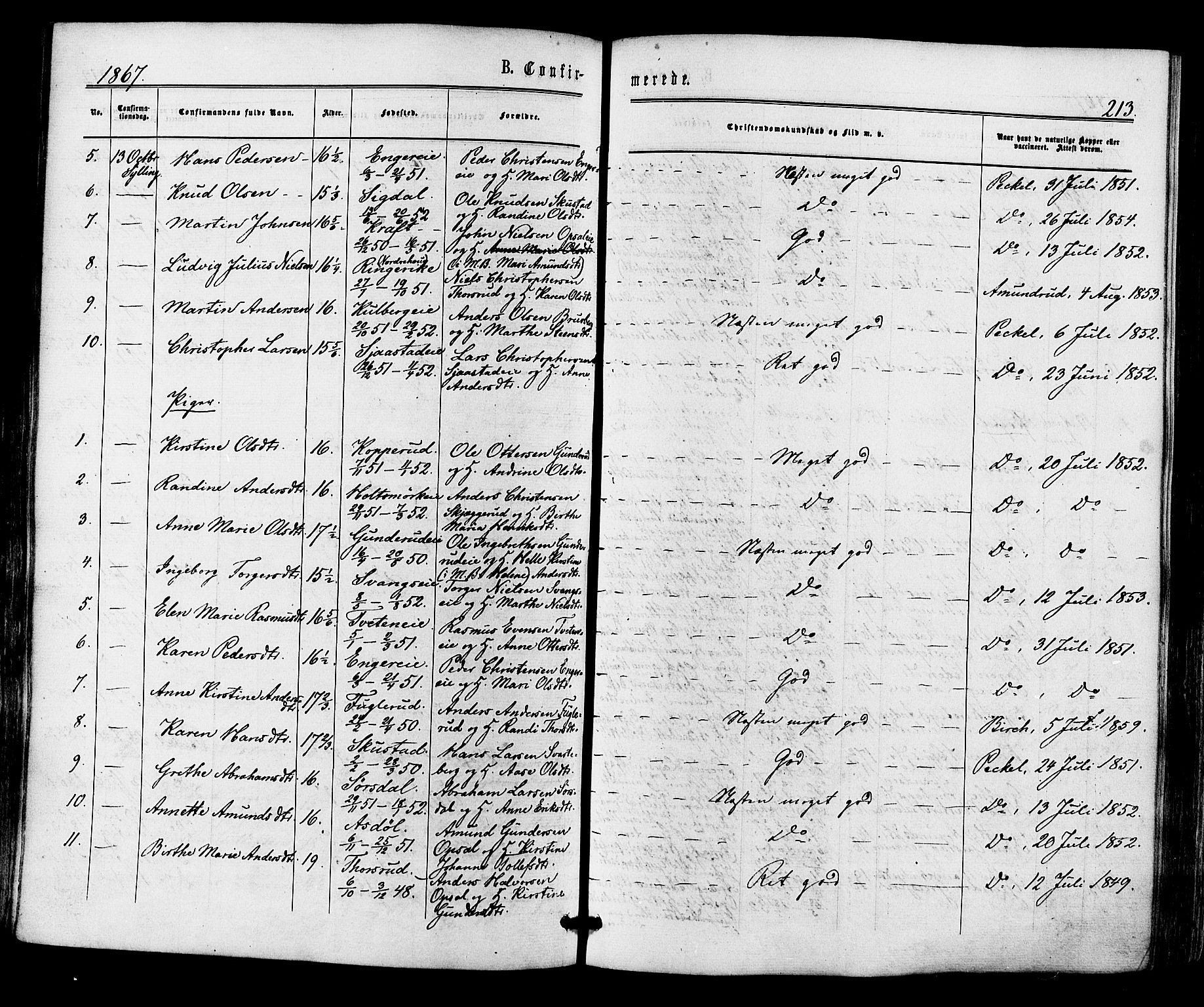 Lier kirkebøker, AV/SAKO-A-230/F/Fa/L0013: Parish register (official) no. I 13, 1865-1874, p. 213