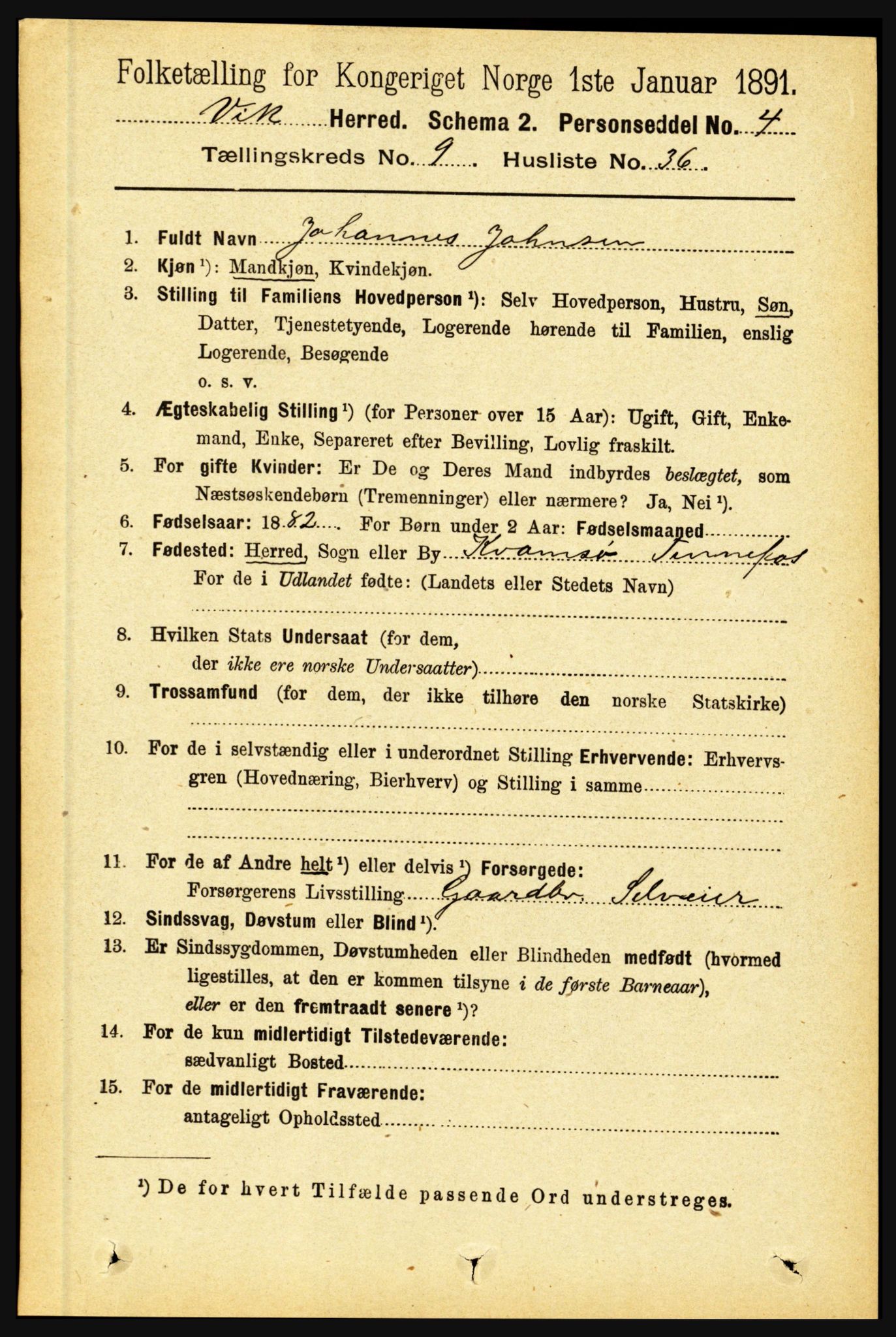 RA, 1891 census for 1417 Vik, 1891, p. 4207