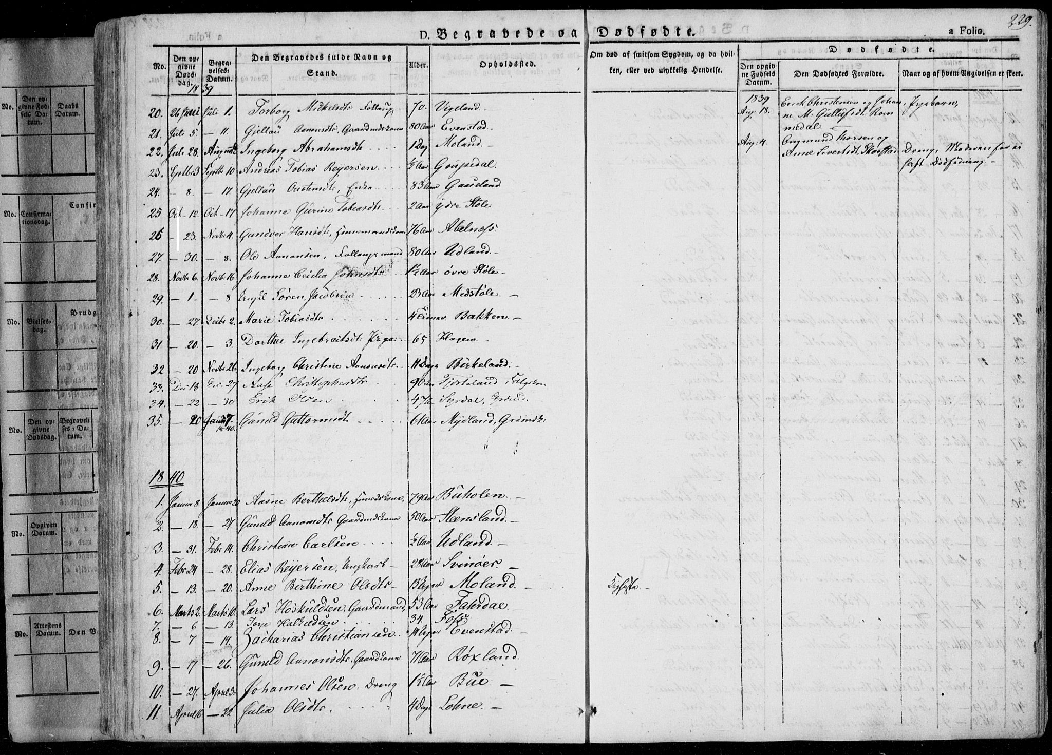 Sør-Audnedal sokneprestkontor, SAK/1111-0039/F/Fa/Fab/L0006: Parish register (official) no. A 6, 1829-1855, p. 229