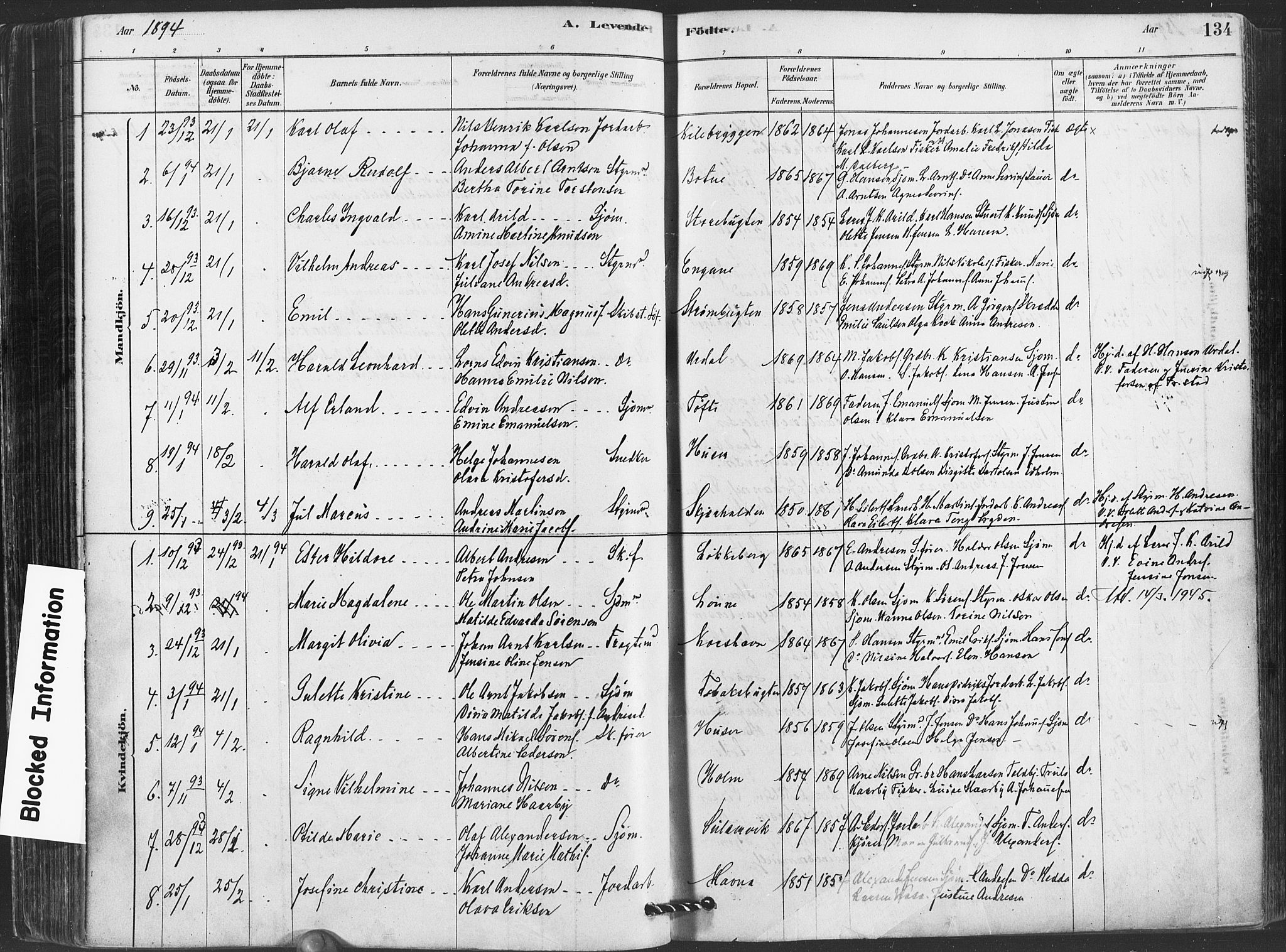 Hvaler prestekontor Kirkebøker, SAO/A-2001/F/Fa/L0008: Parish register (official) no. I 8, 1878-1895, p. 134