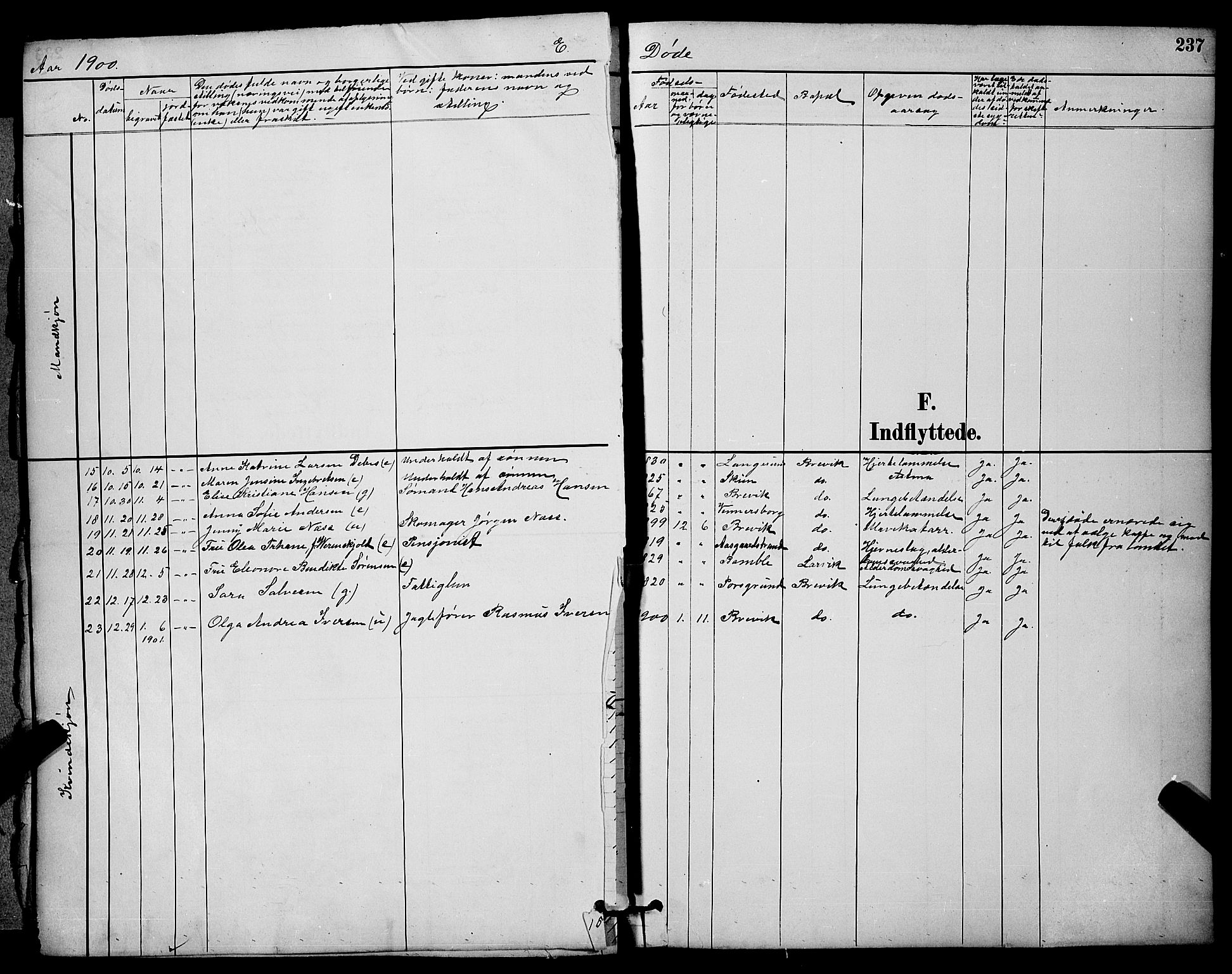 Brevik kirkebøker, AV/SAKO-A-255/G/Ga/L0004: Parish register (copy) no. 4, 1882-1900, p. 237