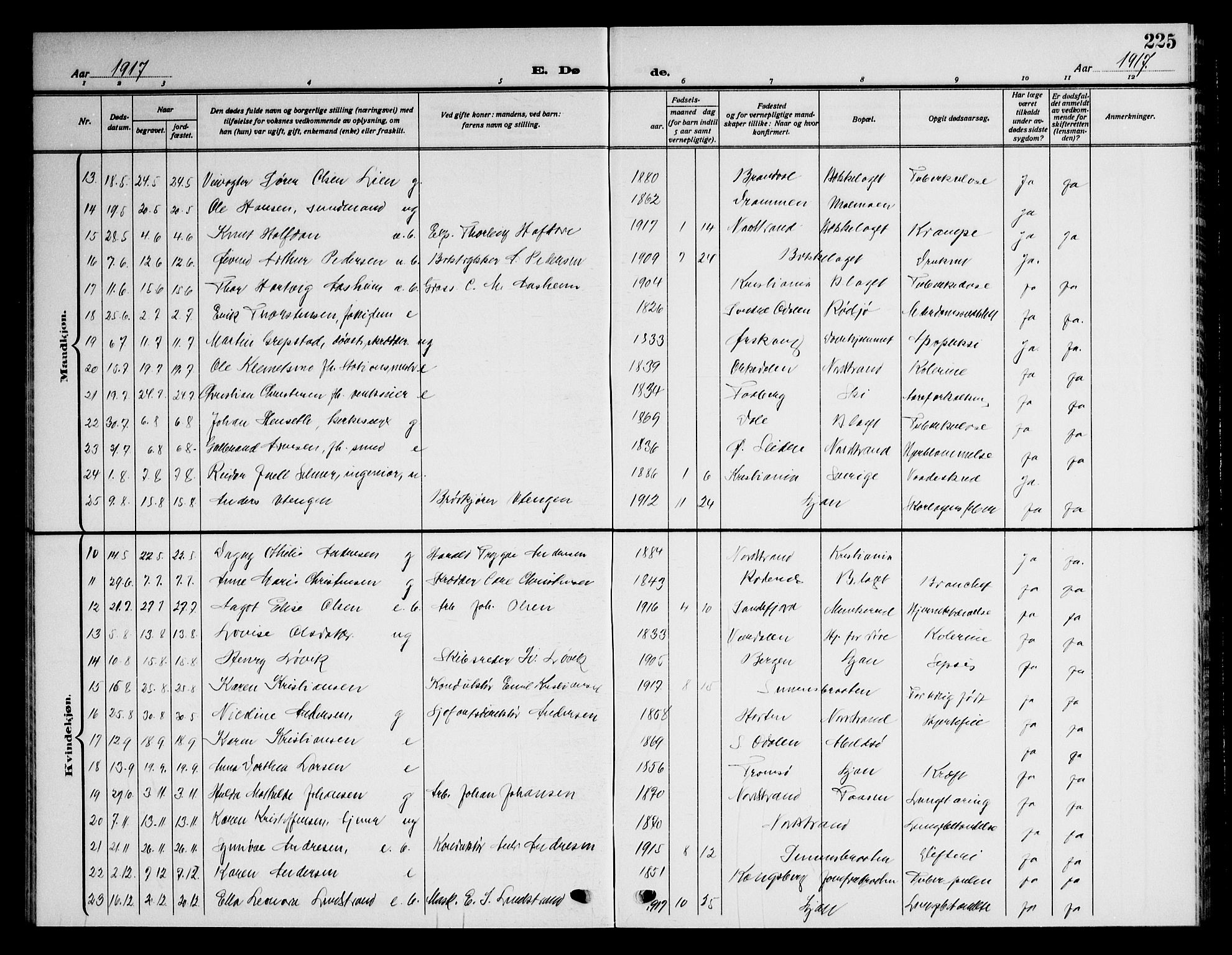 Nordstrand prestekontor Kirkebøker, AV/SAO-A-10362a/G/Ga/L0001: Parish register (copy) no. I 1, 1911-1918, p. 225