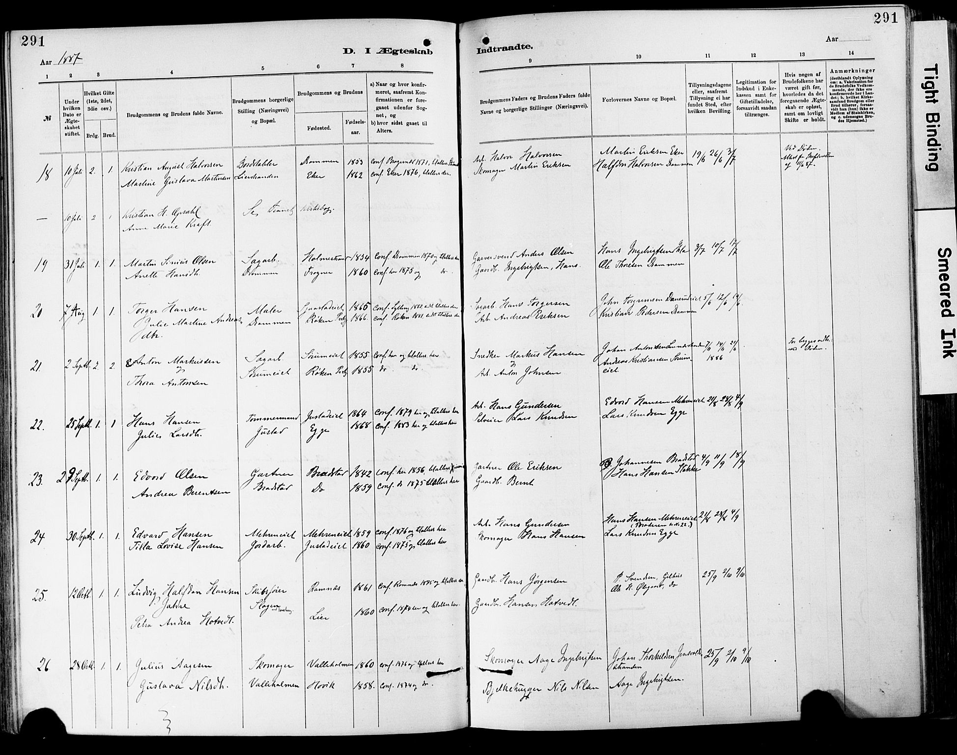 Lier kirkebøker, SAKO/A-230/F/Fa/L0015: Parish register (official) no. I 15, 1883-1894, p. 291