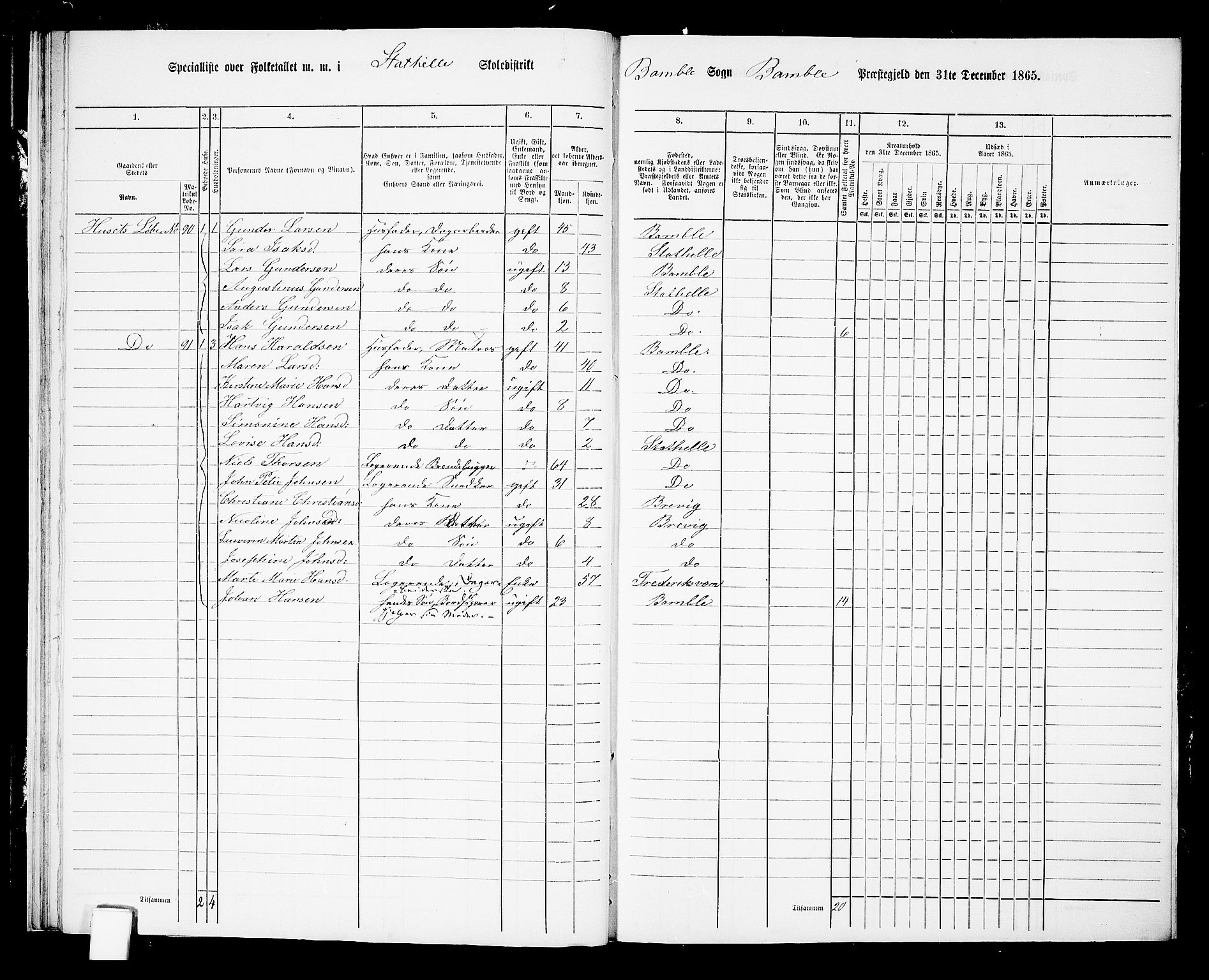 RA, 1865 census for Bamble, 1865, p. 245