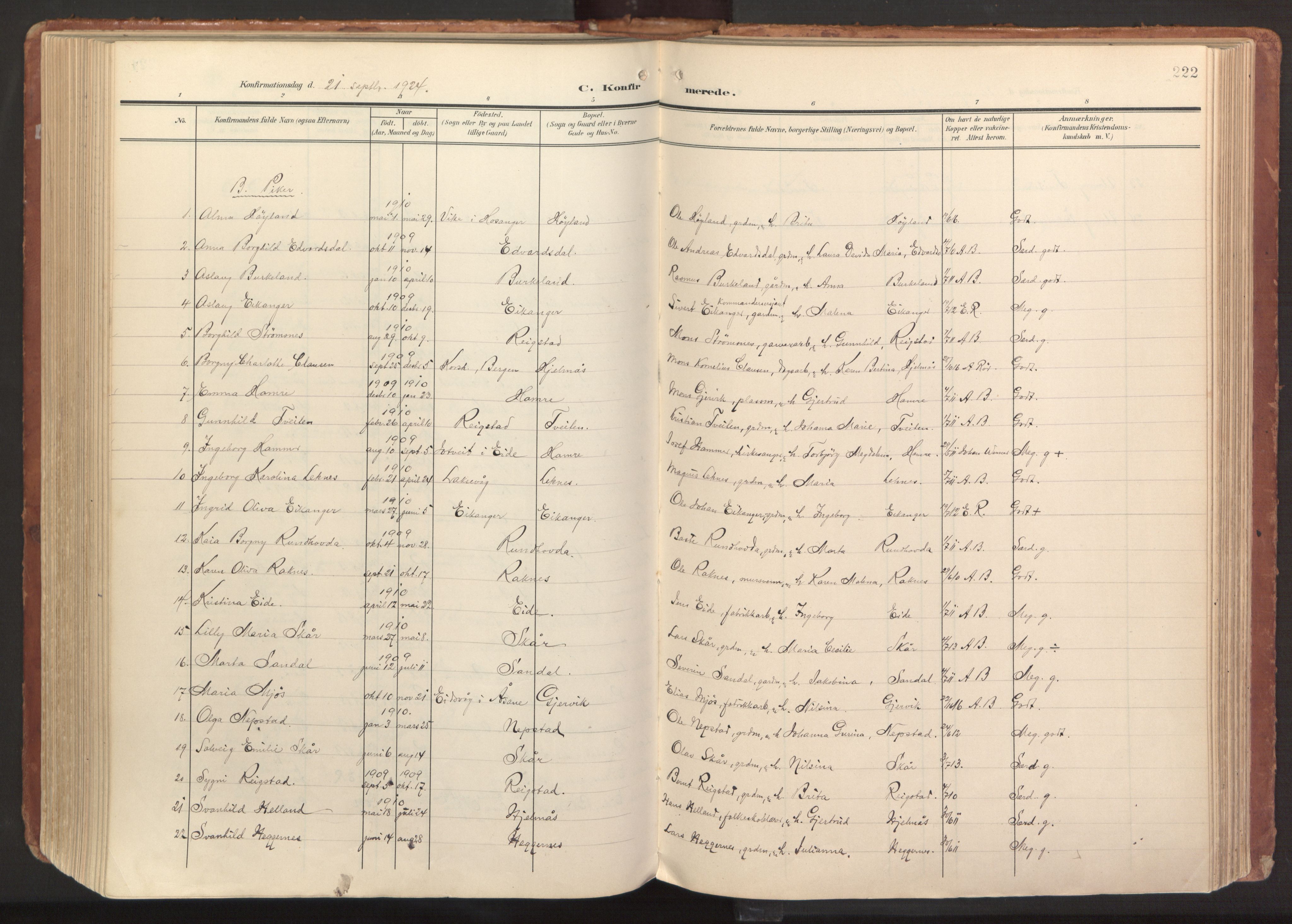 Hamre sokneprestembete, AV/SAB-A-75501/H/Ha/Haa/Haab/L0002: Parish register (official) no. B 2, 1905-1924, p. 222