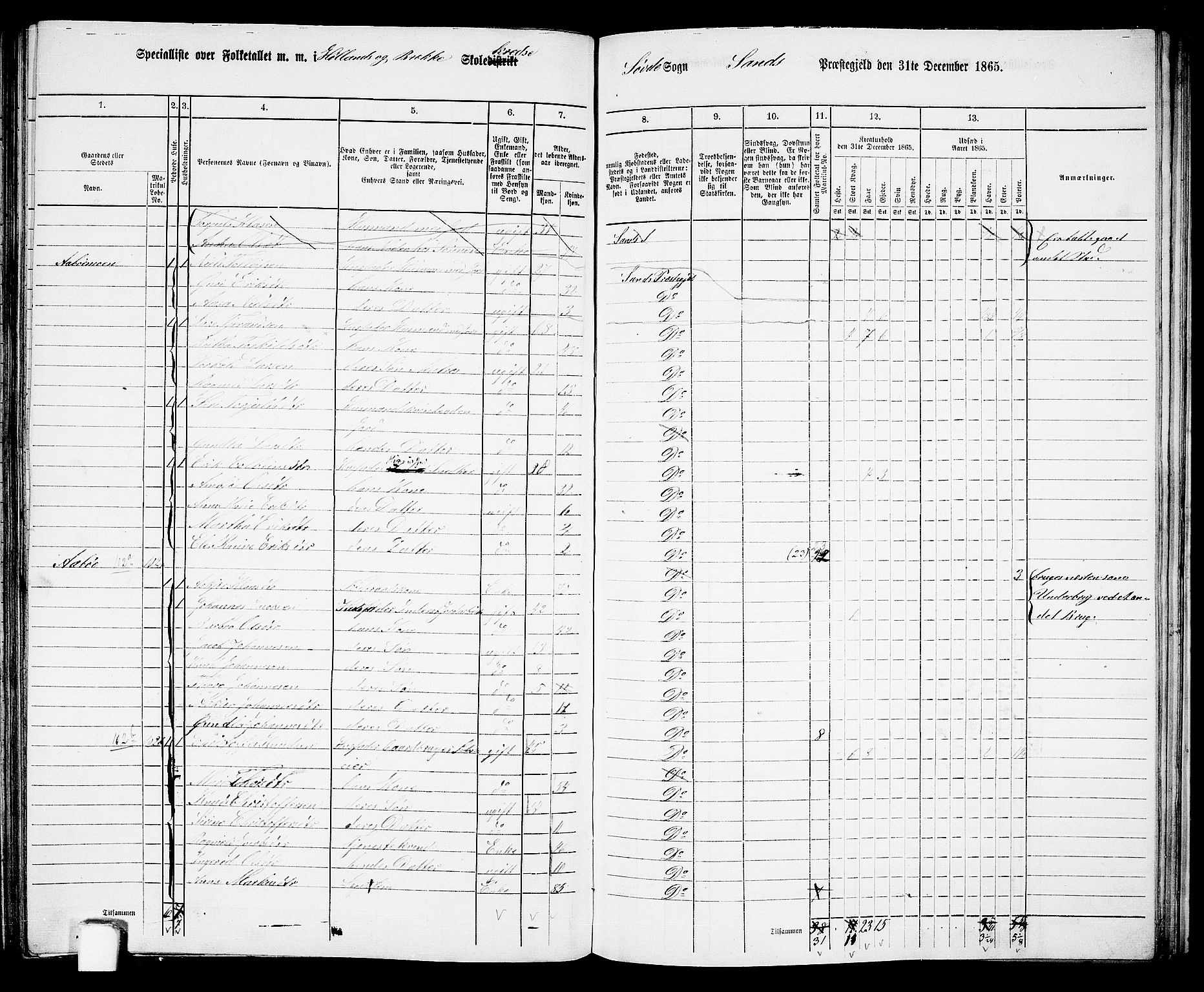 RA, 1865 census for Sand, 1865, p. 121