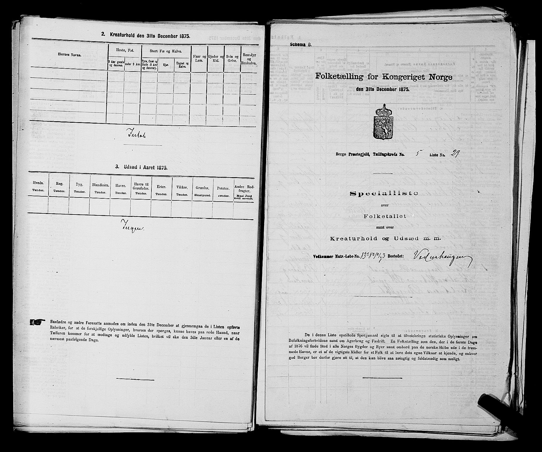 RA, 1875 census for 0116P Berg, 1875, p. 735