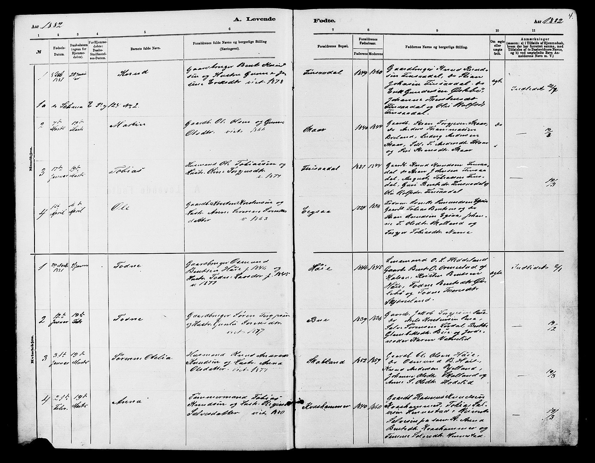 Holum sokneprestkontor, SAK/1111-0022/F/Fb/Fbc/L0003: Parish register (copy) no. B 3, 1882-1908, p. 4