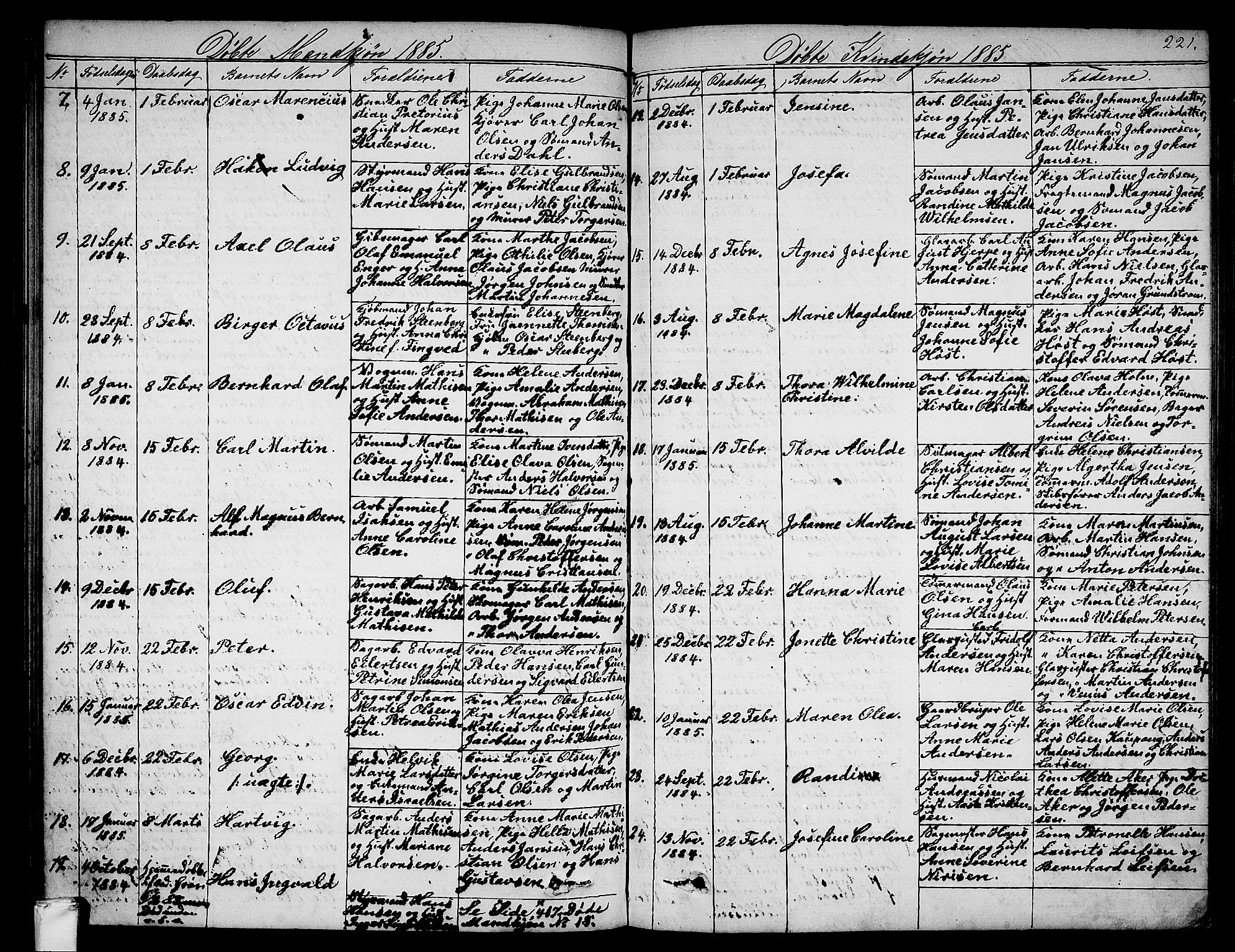 Larvik kirkebøker, AV/SAKO-A-352/G/Ga/L0004: Parish register (copy) no. I 4, 1871-1888, p. 221