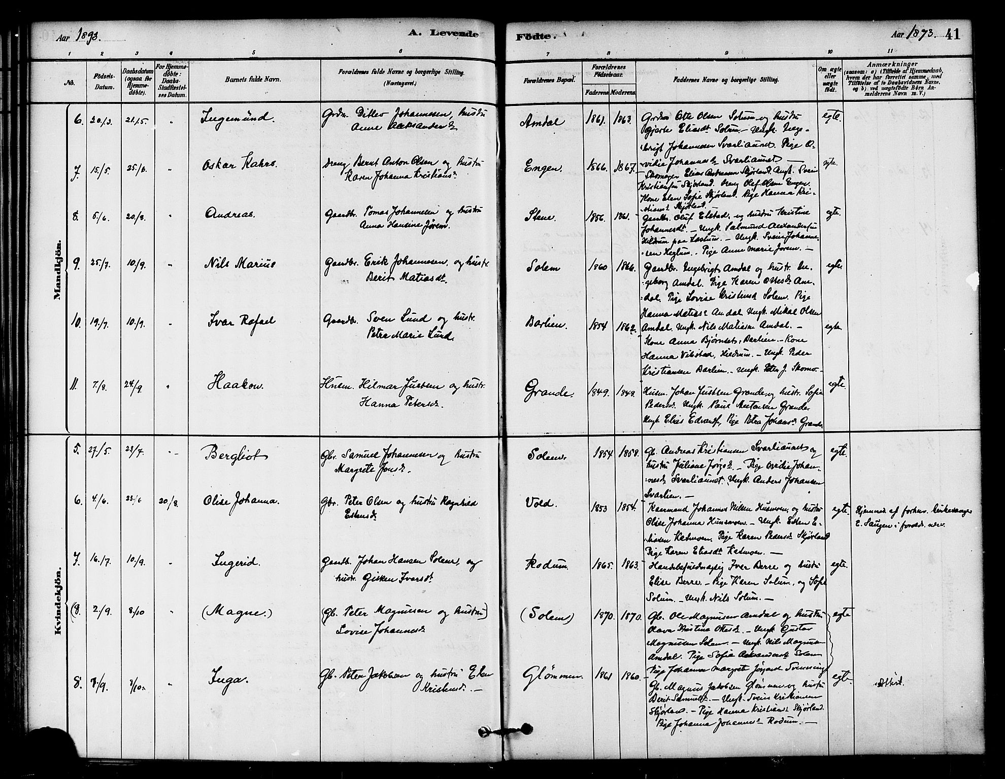 Ministerialprotokoller, klokkerbøker og fødselsregistre - Nord-Trøndelag, SAT/A-1458/764/L0555: Parish register (official) no. 764A10, 1881-1896, p. 41