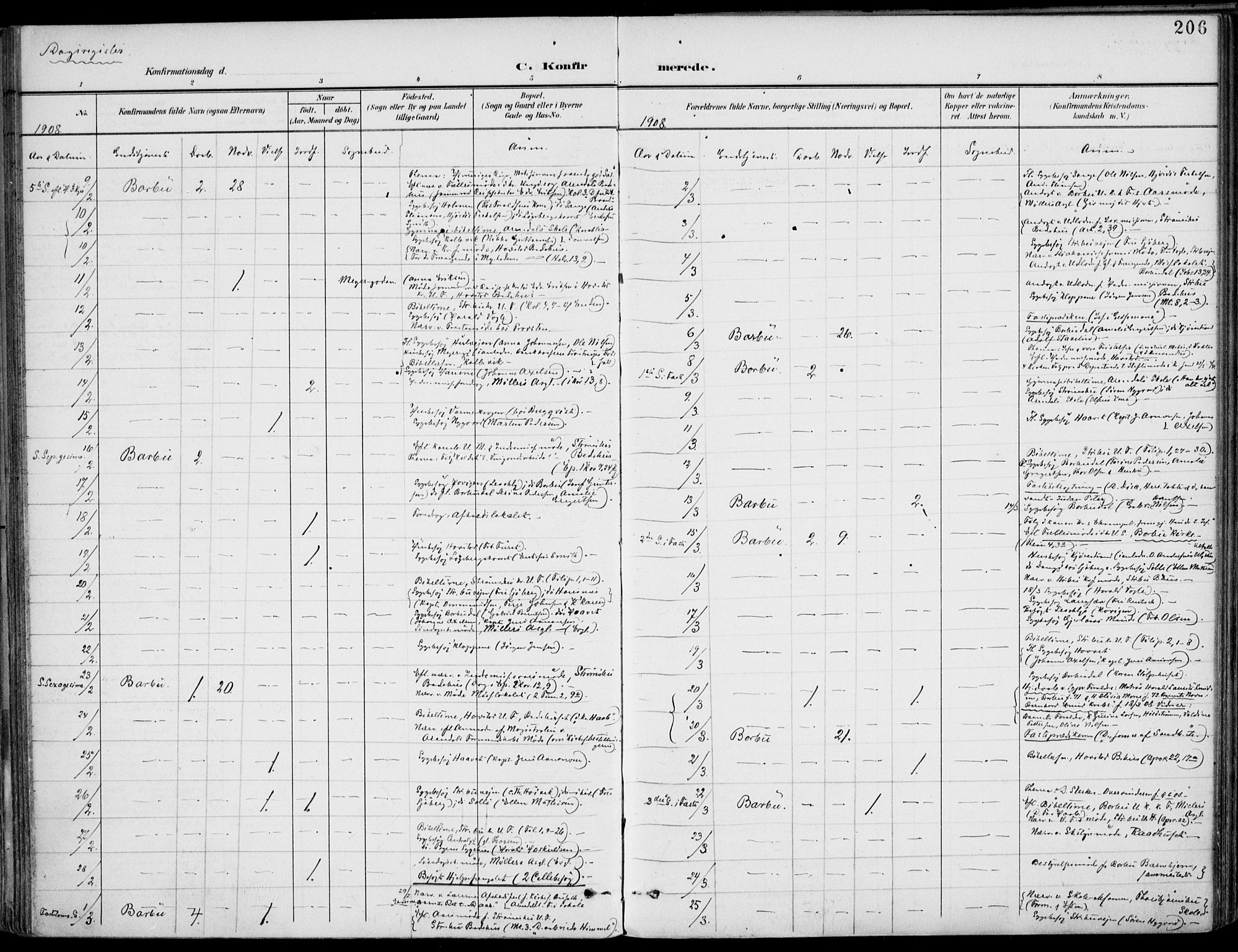 Barbu sokneprestkontor, SAK/1111-0003/F/Fa/L0005: Parish register (official) no. A 5, 1899-1909, p. 206